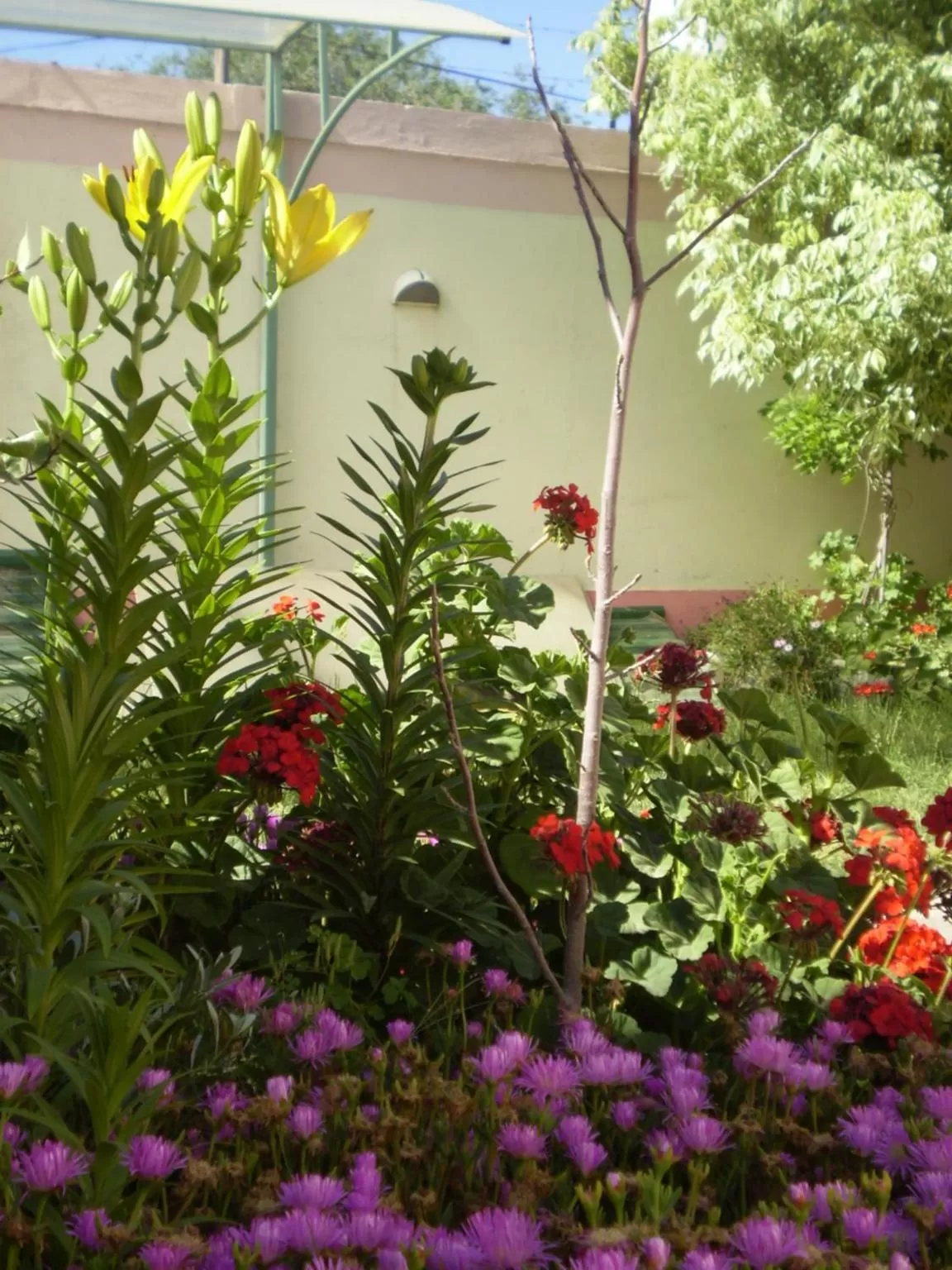 Garden in Complejo Solar Apart