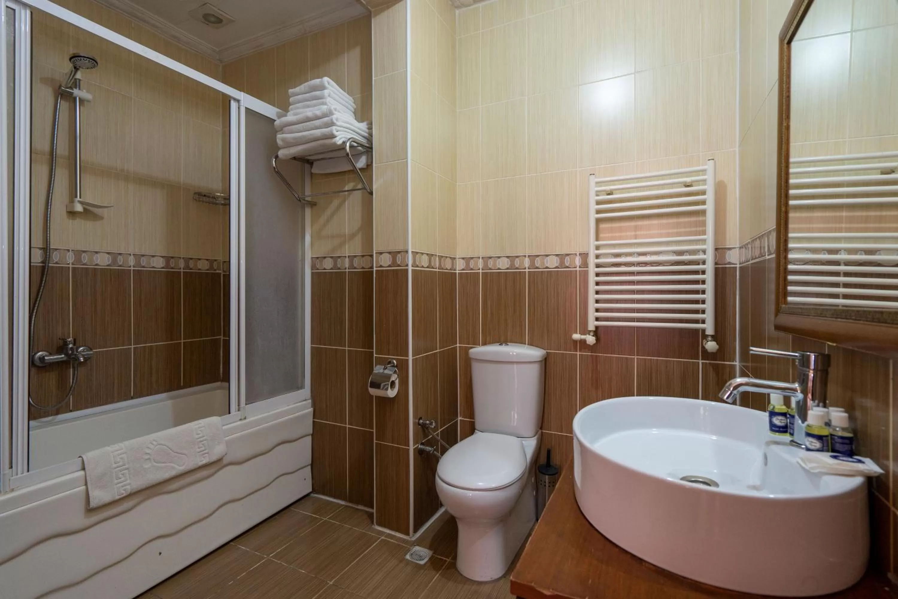 Toilet, Bathroom in Gedikpasa Family