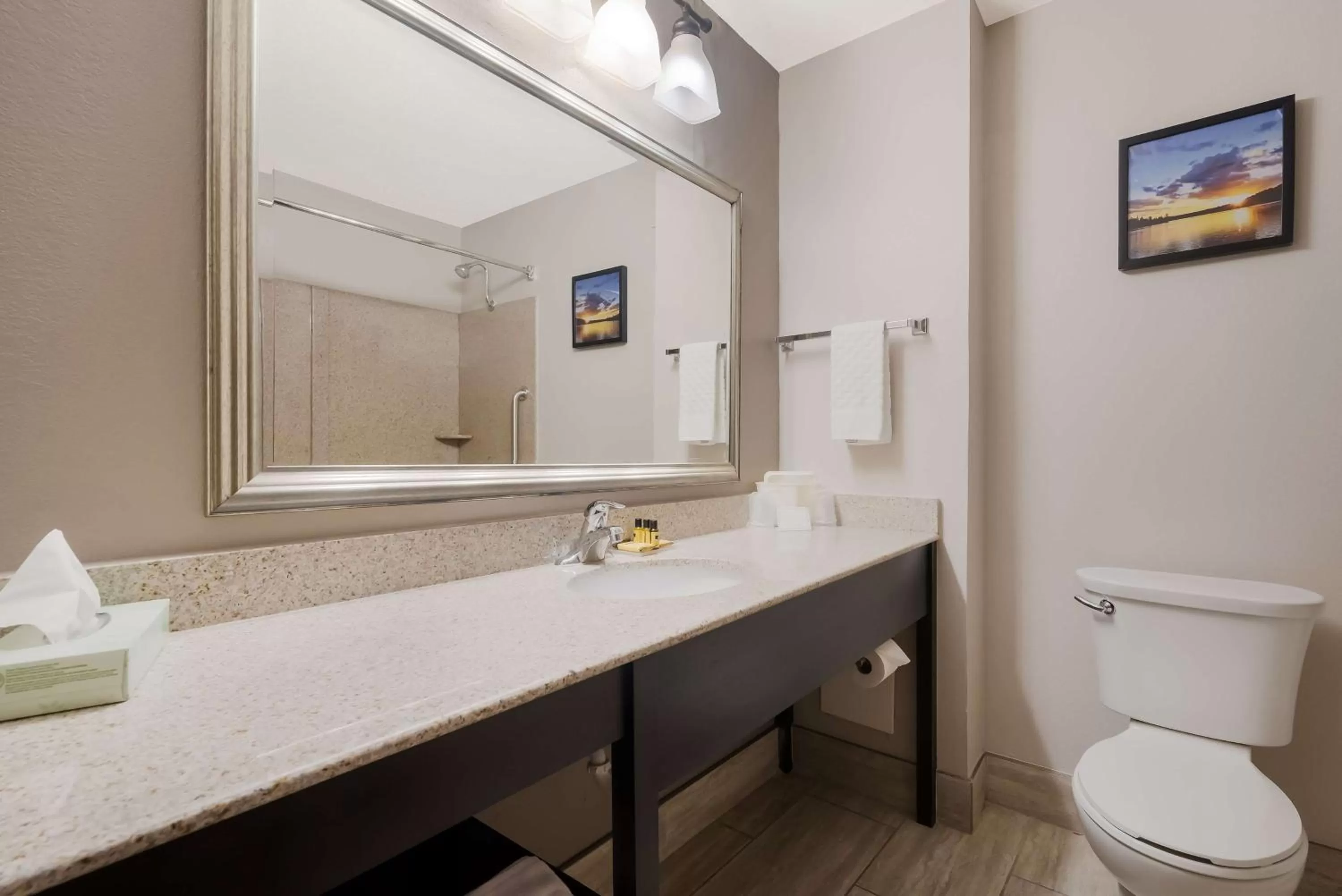 Bathroom in Best Western Executive Inn