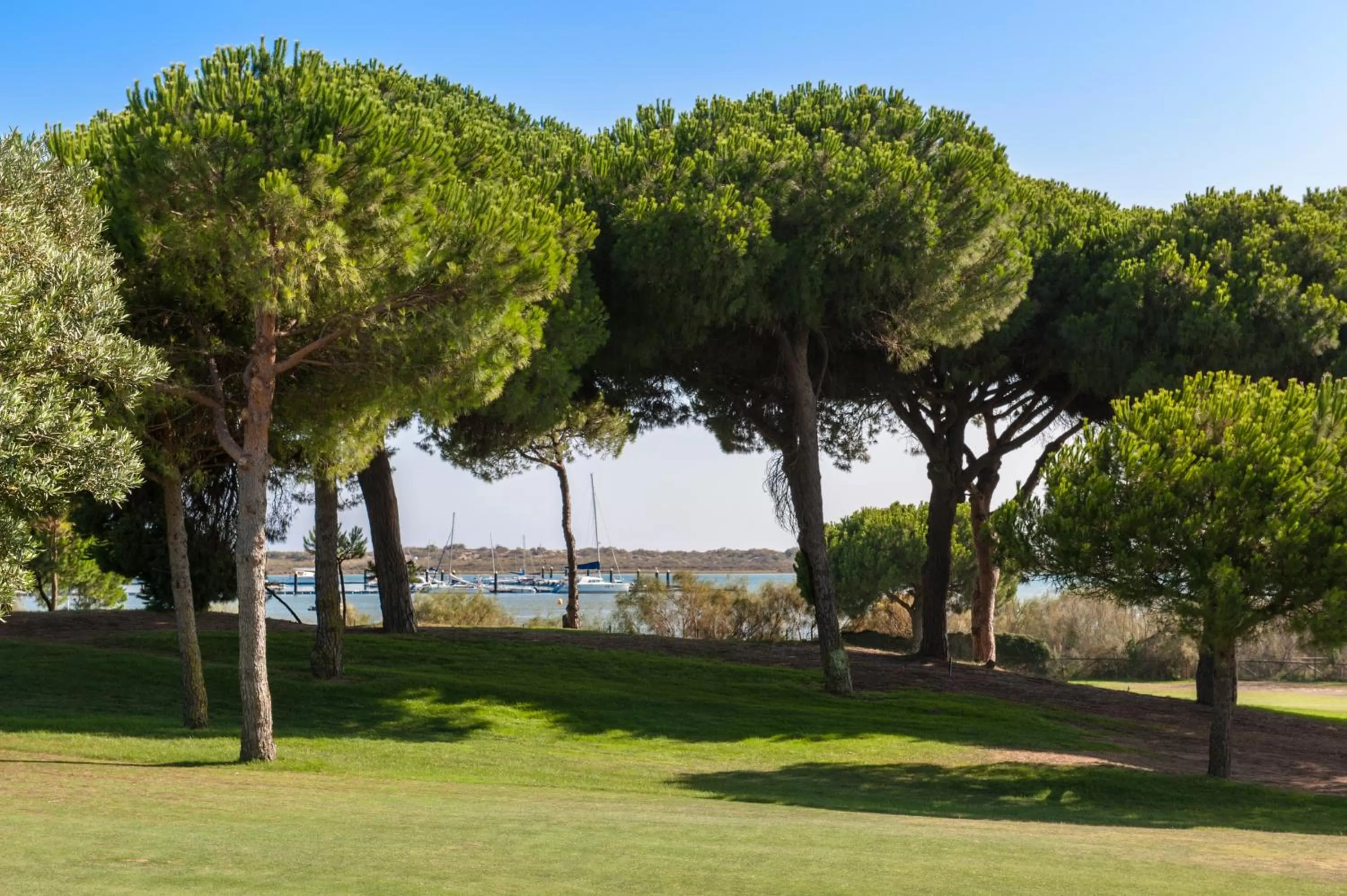 Golfcourse in Precise Resort El Rompido-The Hotel