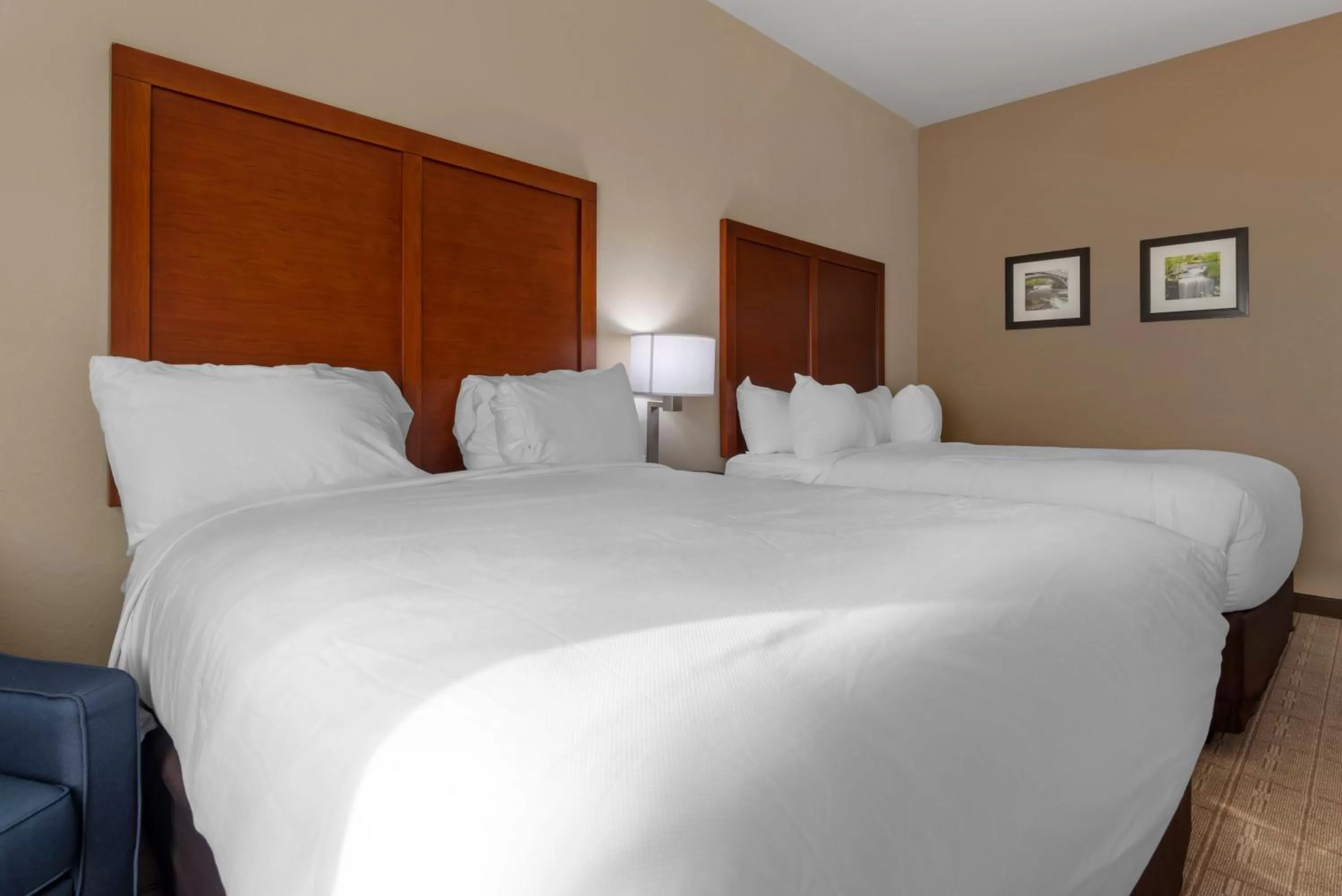 Bed in Comfort Inn & Suites North Mankato