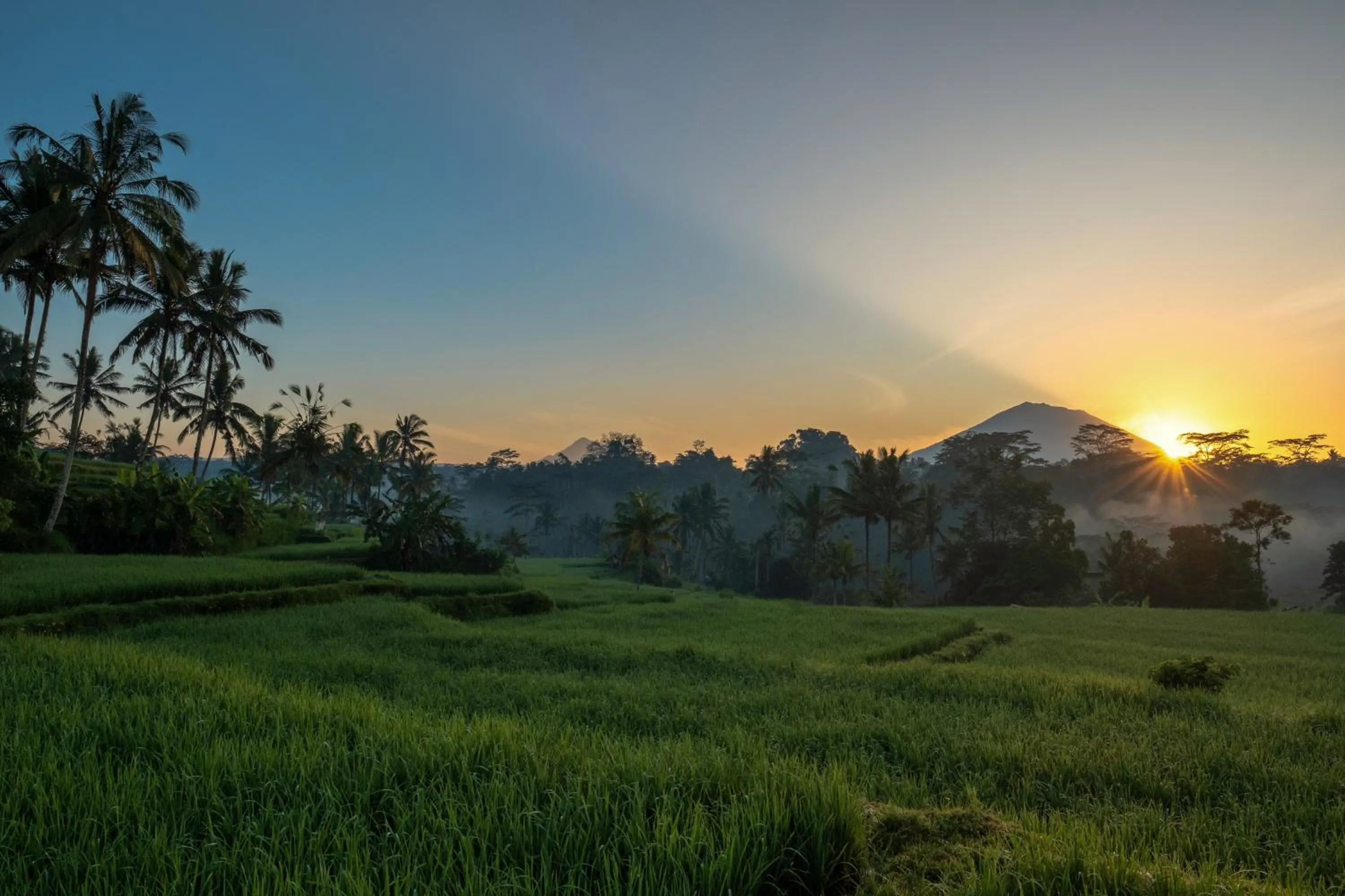 Activities in Kawi Resort