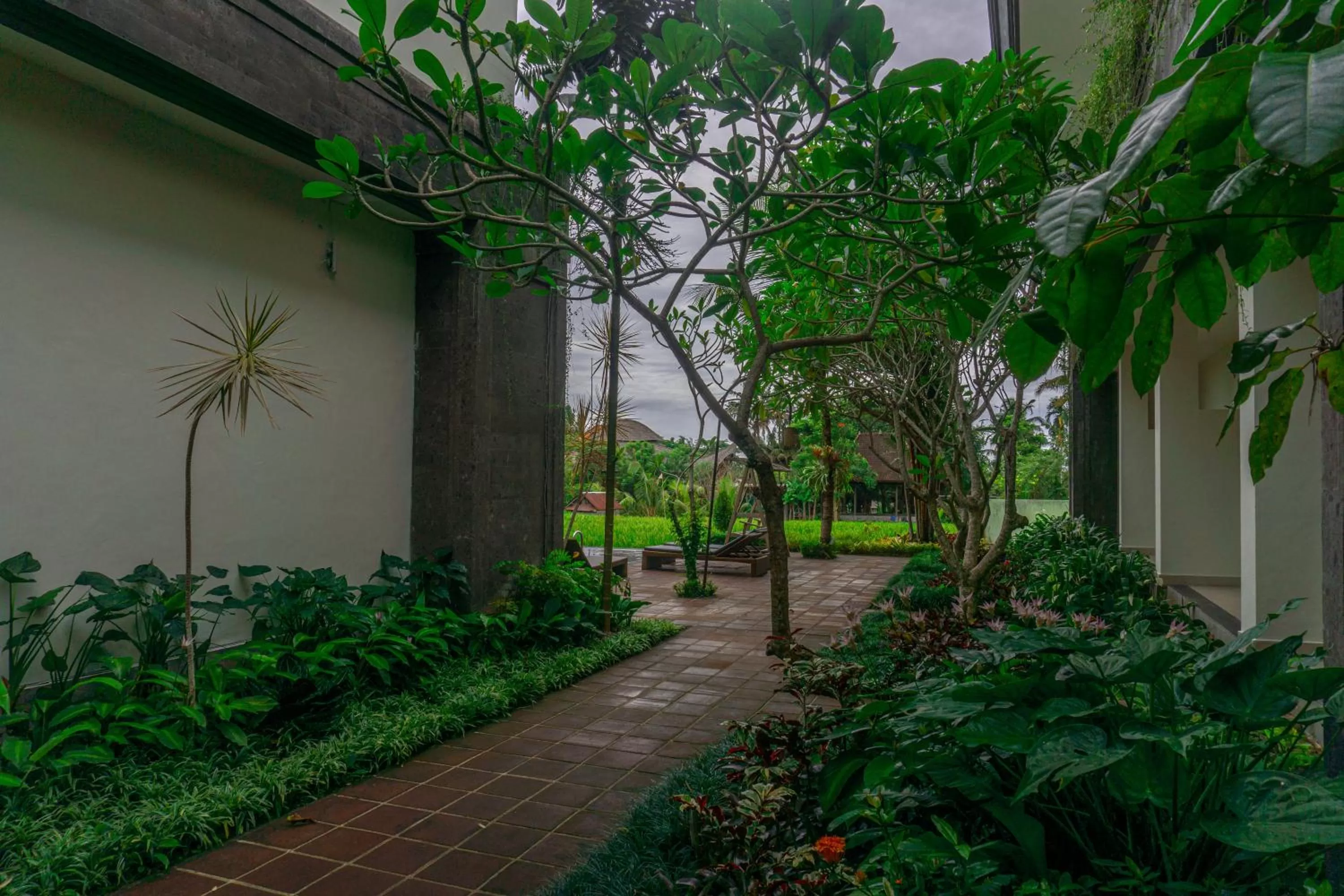 Garden in Artini Bisma Ubud Hotel