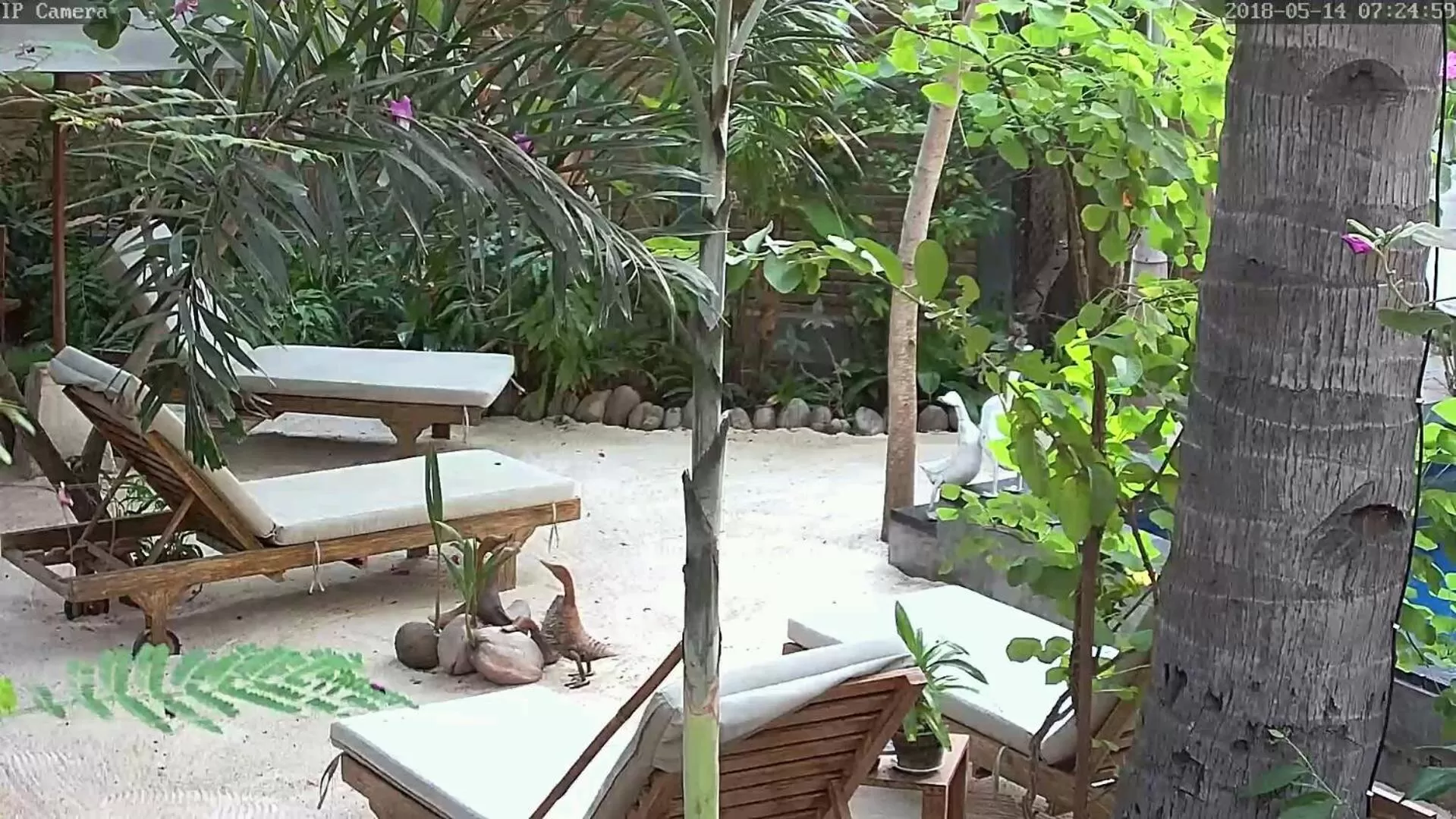 Garden view in Villas Light House - Eco-Traditional Joglo