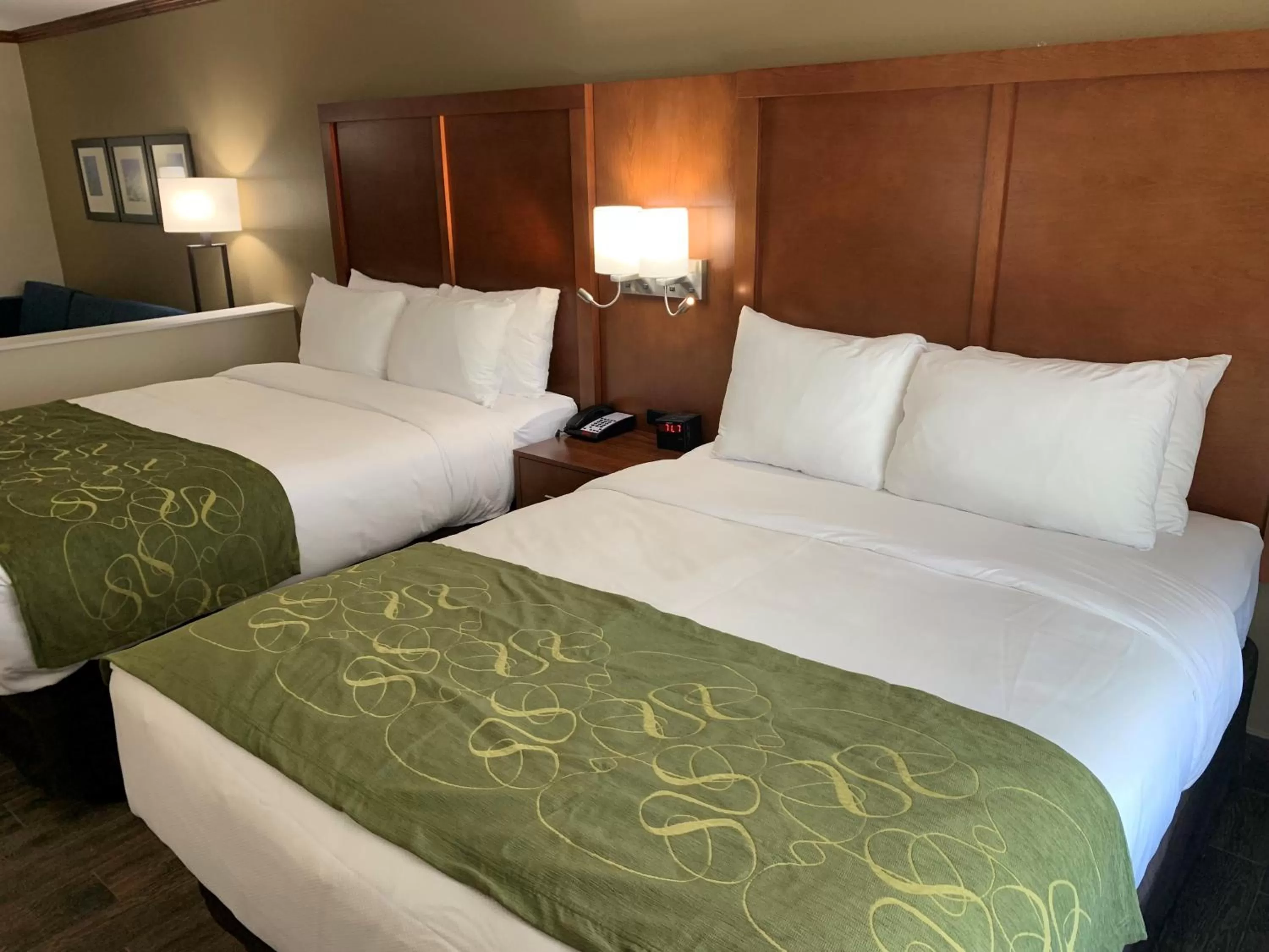 Bed in Comfort Suites West Monroe near Ike Hamilton Expo Center