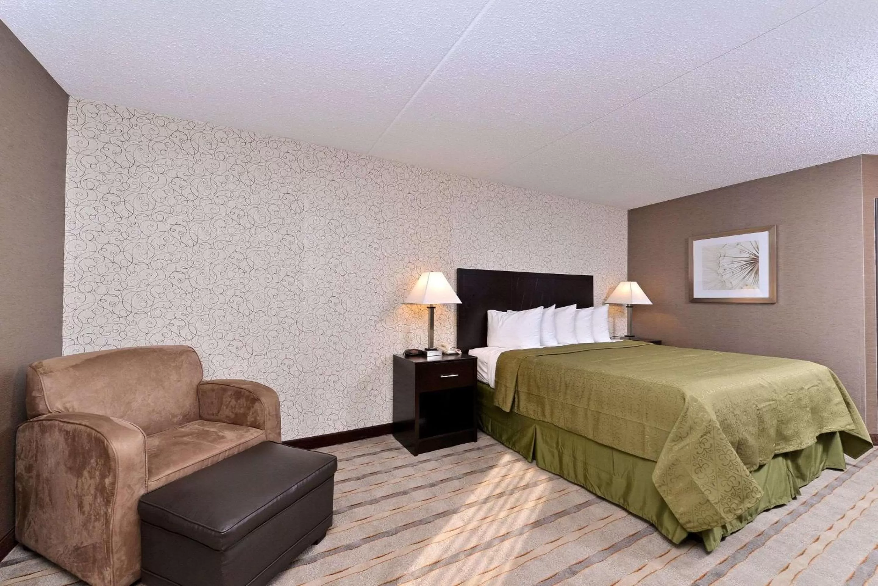 Photo of the whole room, Bed in Quality Inn & Suites Matteson near I-57