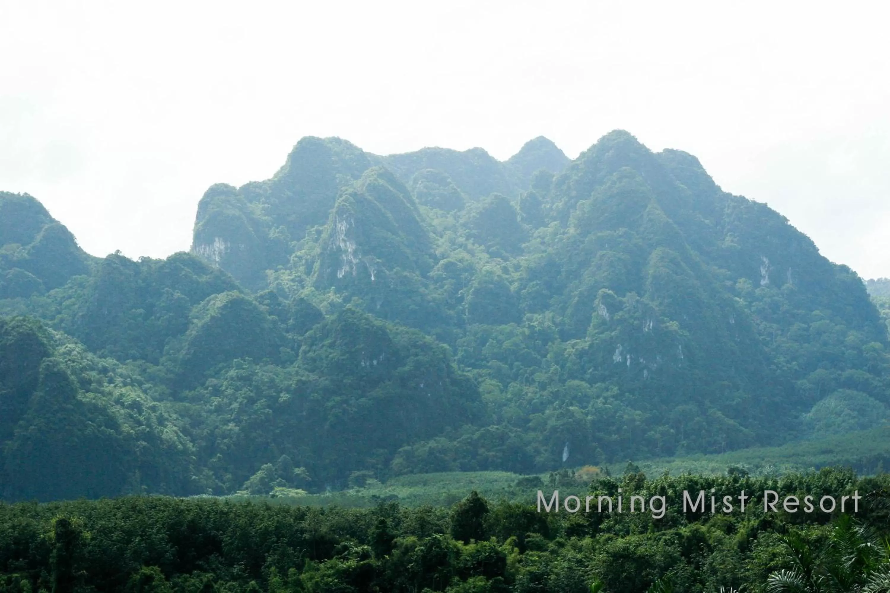 Natural landscape in Khao Sok Morning Mist Resort