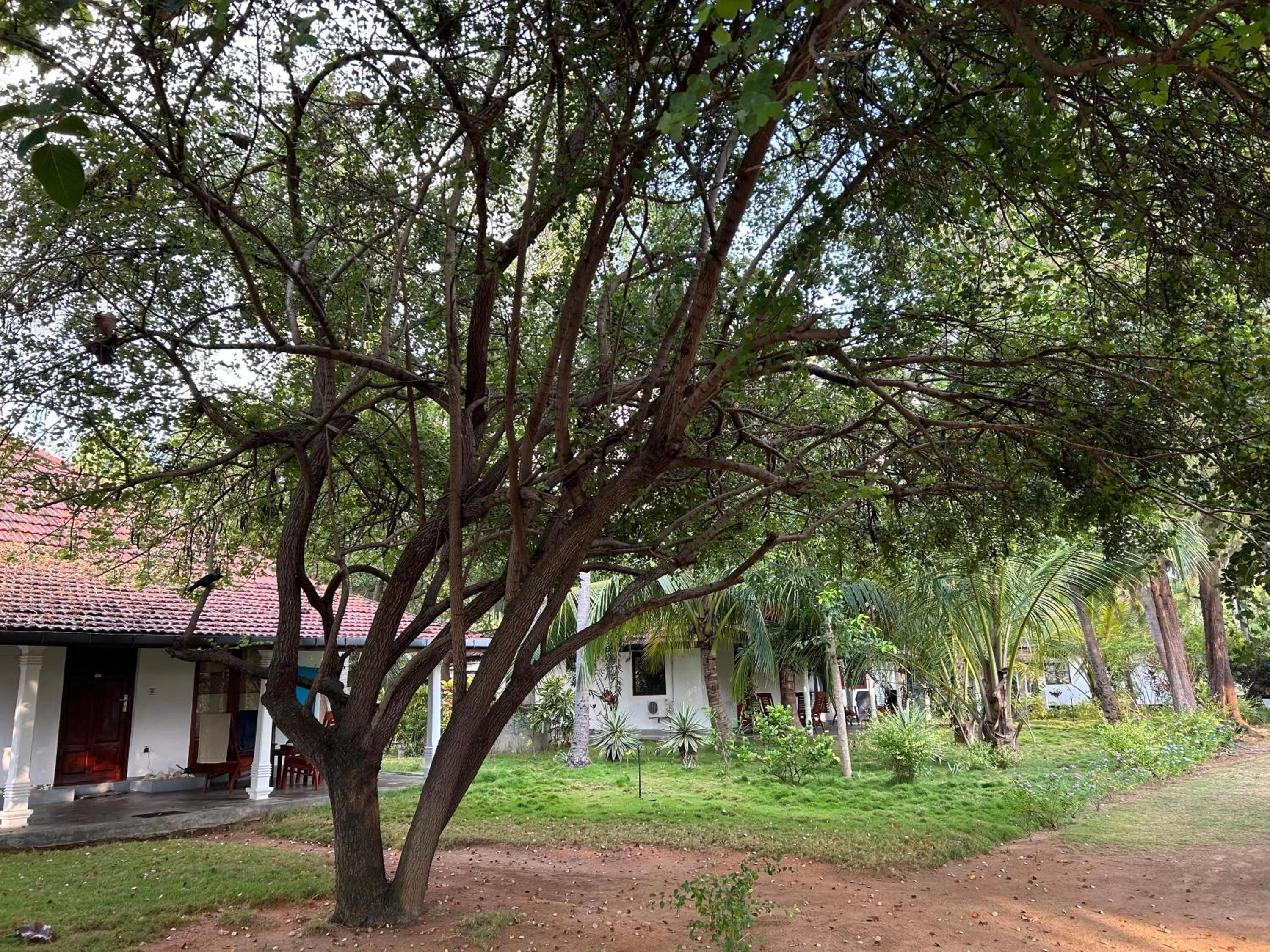 Property Building in 108 Palms Beach Resort