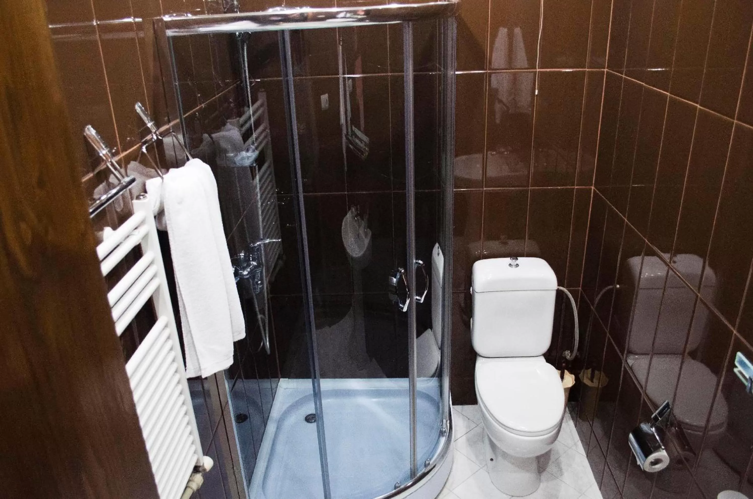 Toilet in Hotel Diplomat