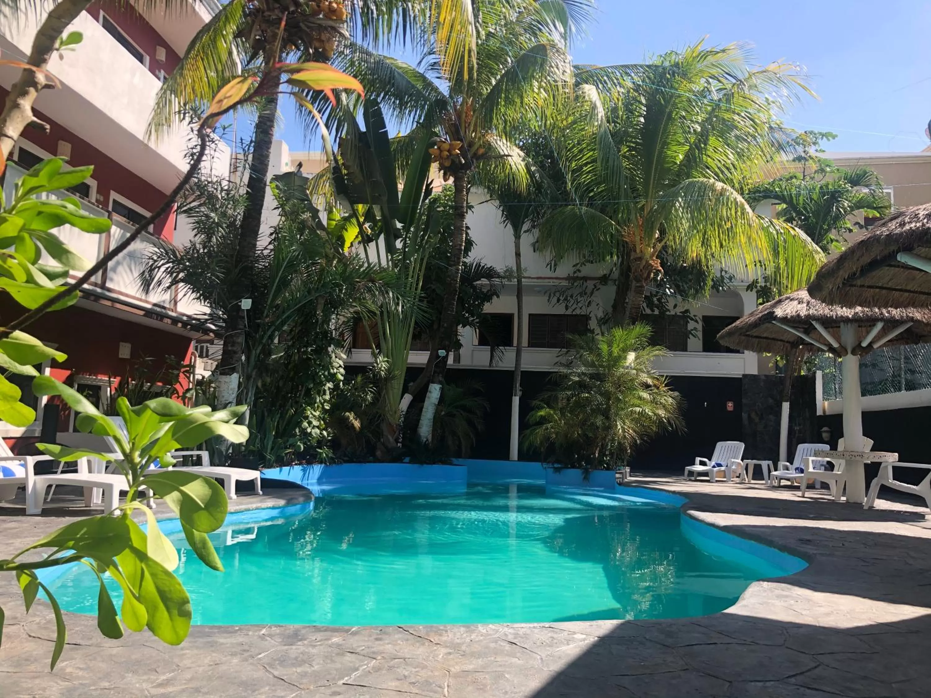 Swimming Pool in "5TH AVENUE" Beach Energy Hotel "by BFH"