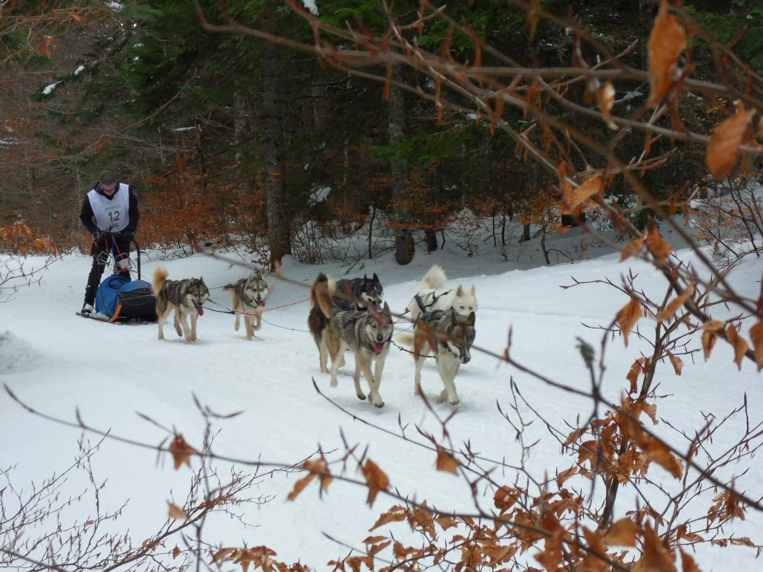Sports in L'Estapade des Tourelons