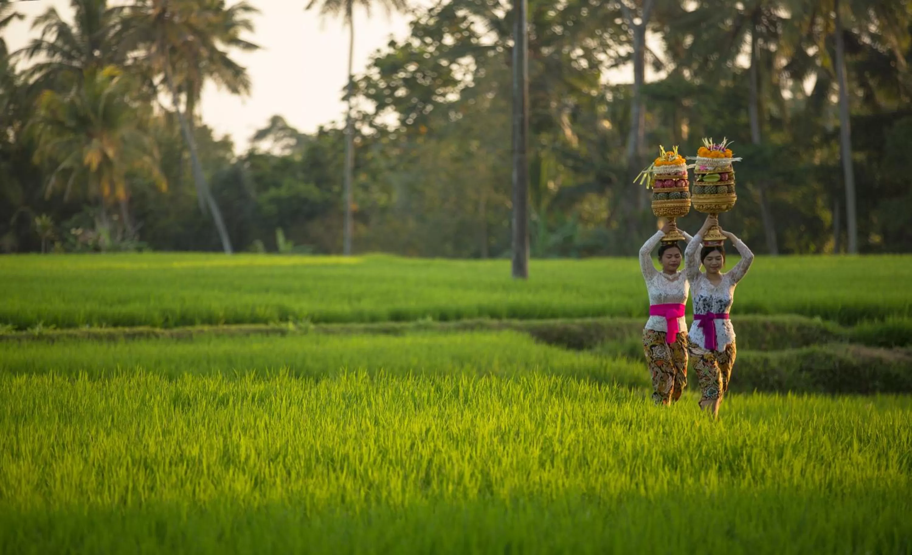 Natural landscape in Dwaraka The Royal Villas