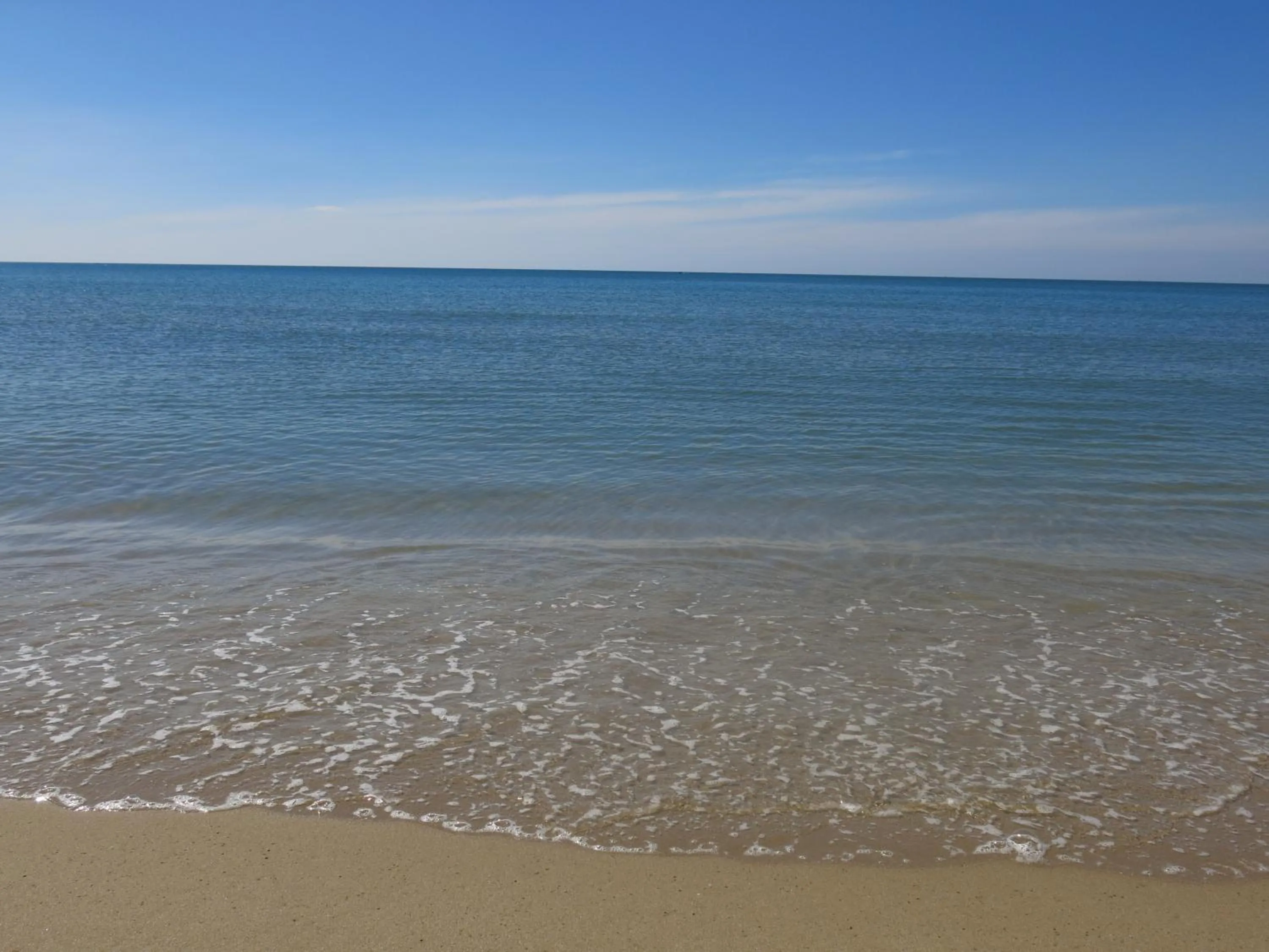 Natural landscape in Bayview Resort