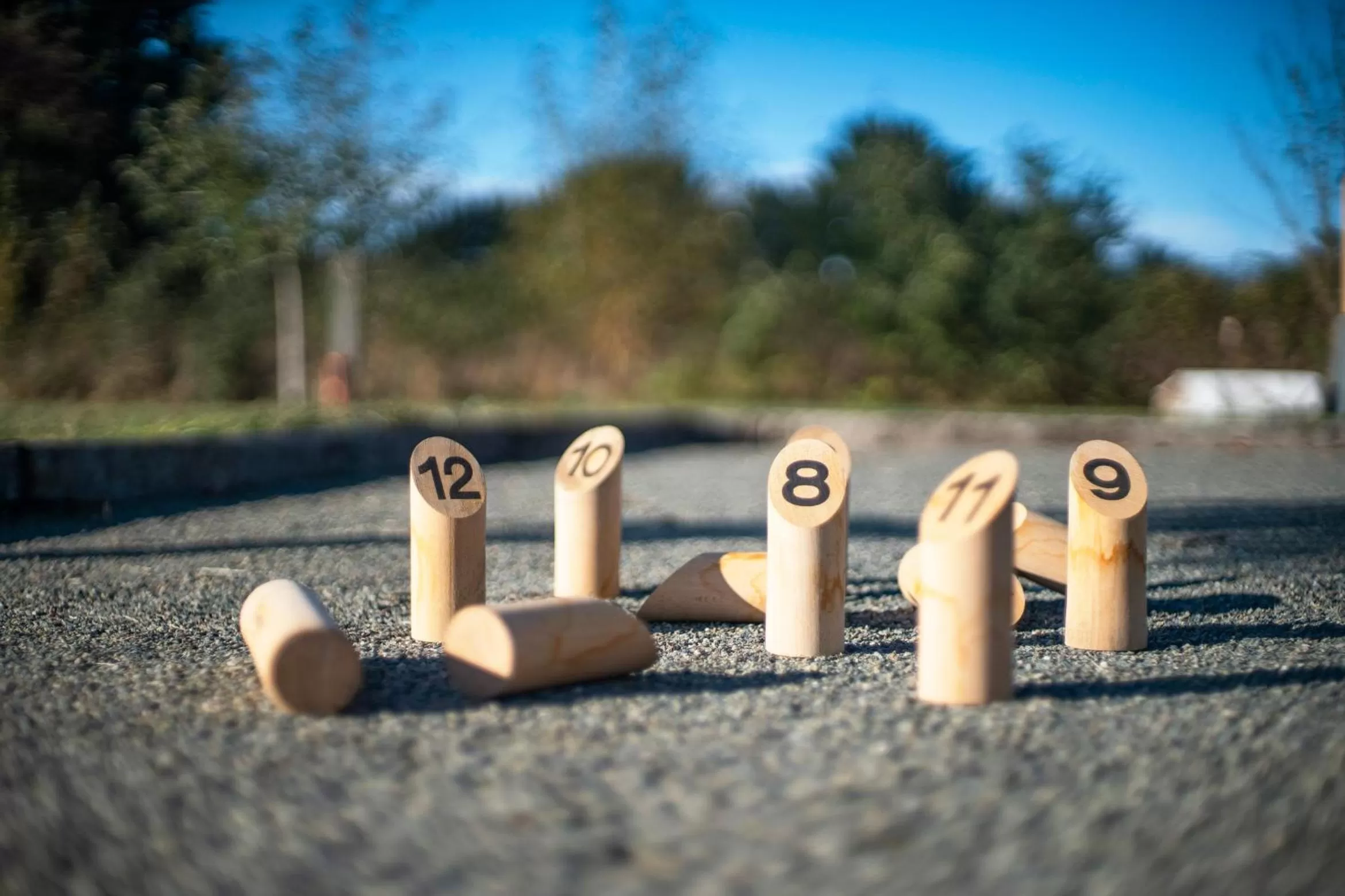 Garden in Le jardin des 4 saisons