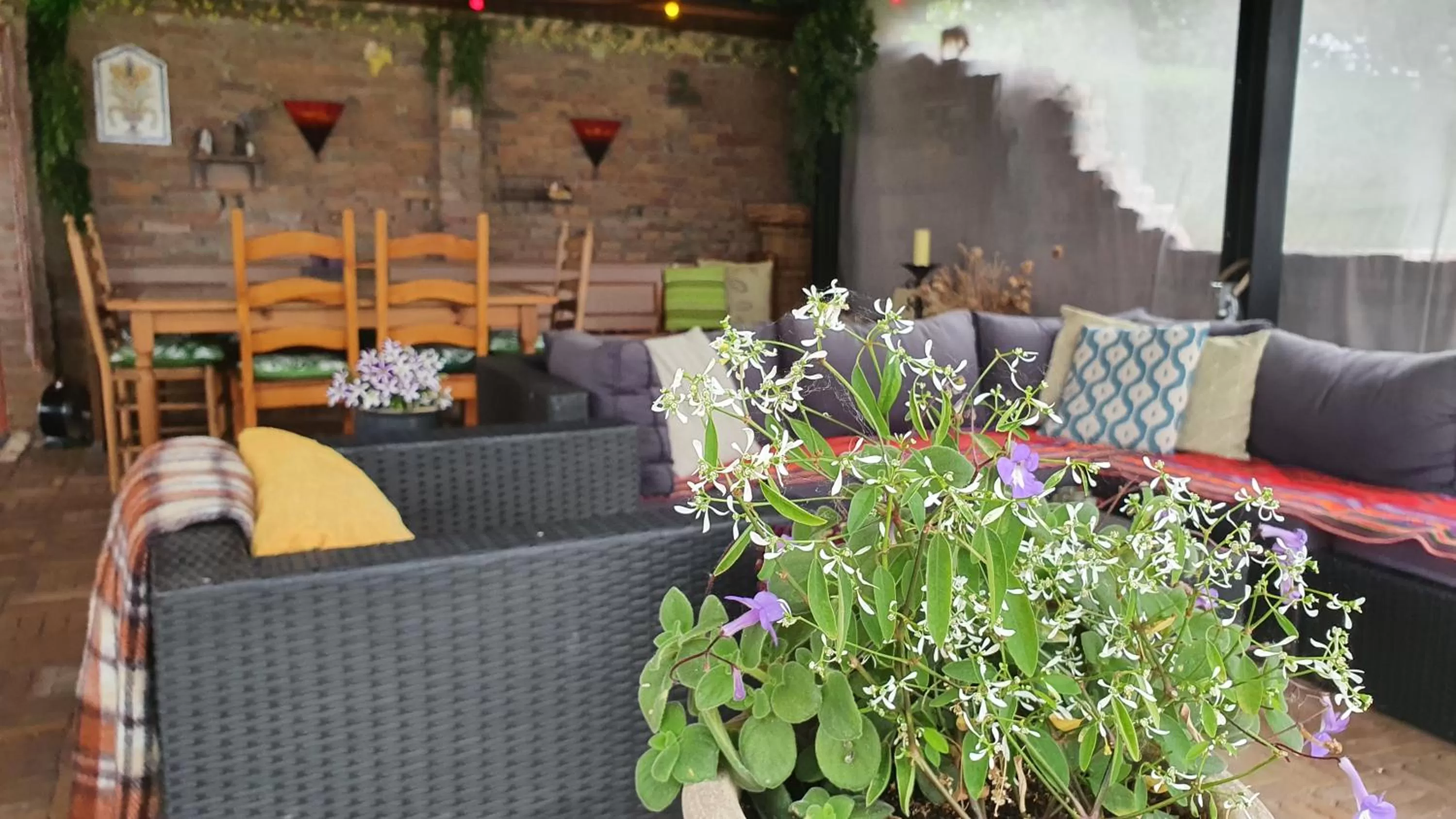 Patio in Casa Tranquila