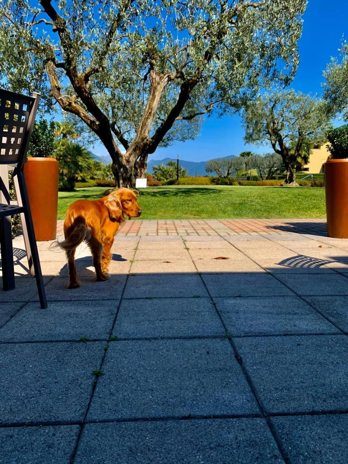 Ulivi Hotel & Residence