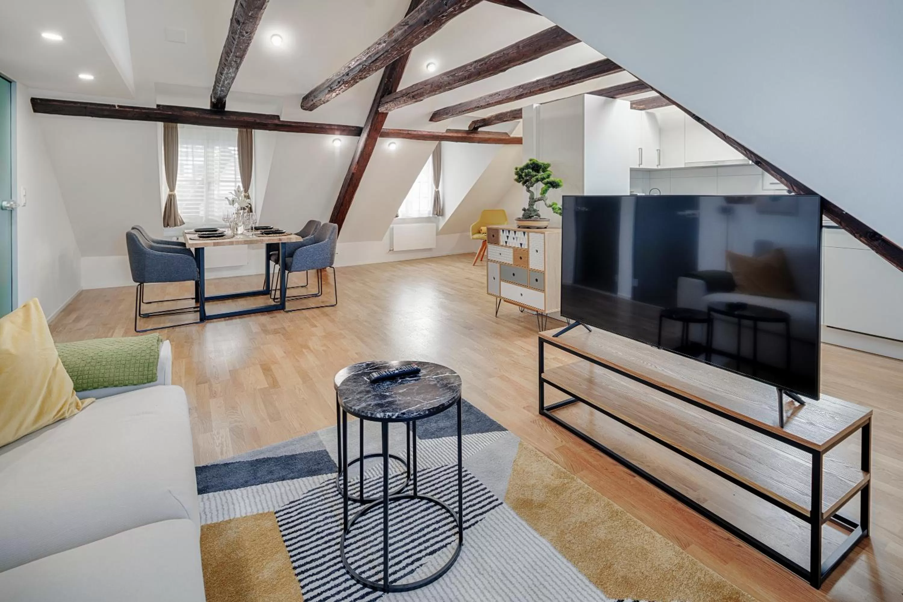 TV and multimedia in VISIMO Apartments St Georgen-Strasse St Gallen - Design City Nature