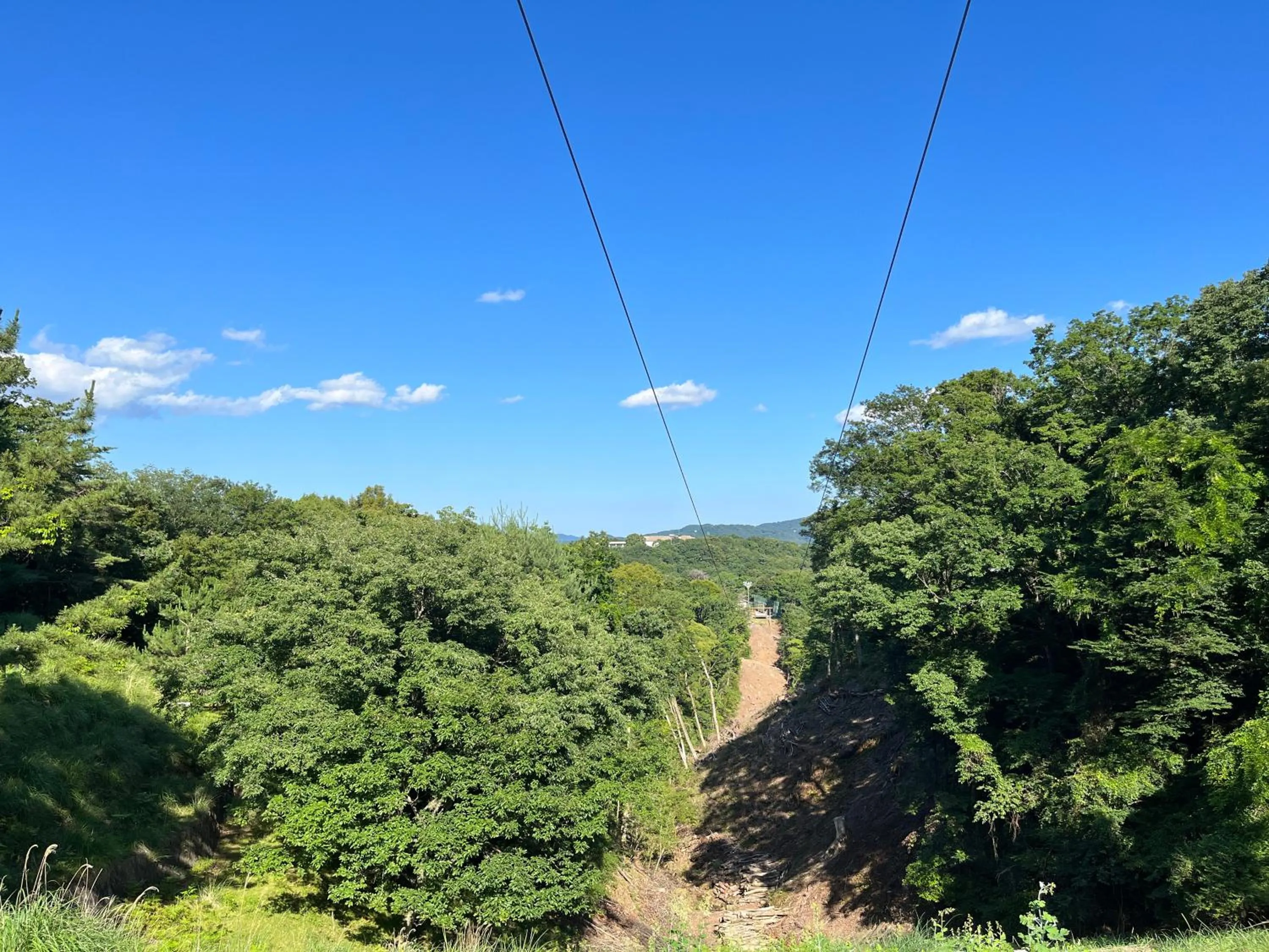 Day in Hotel Laforet Shuzenji