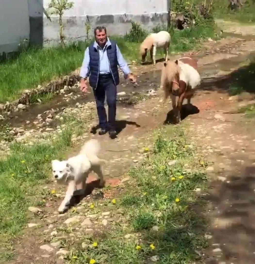 Property building in Pensiunea SilvAnka