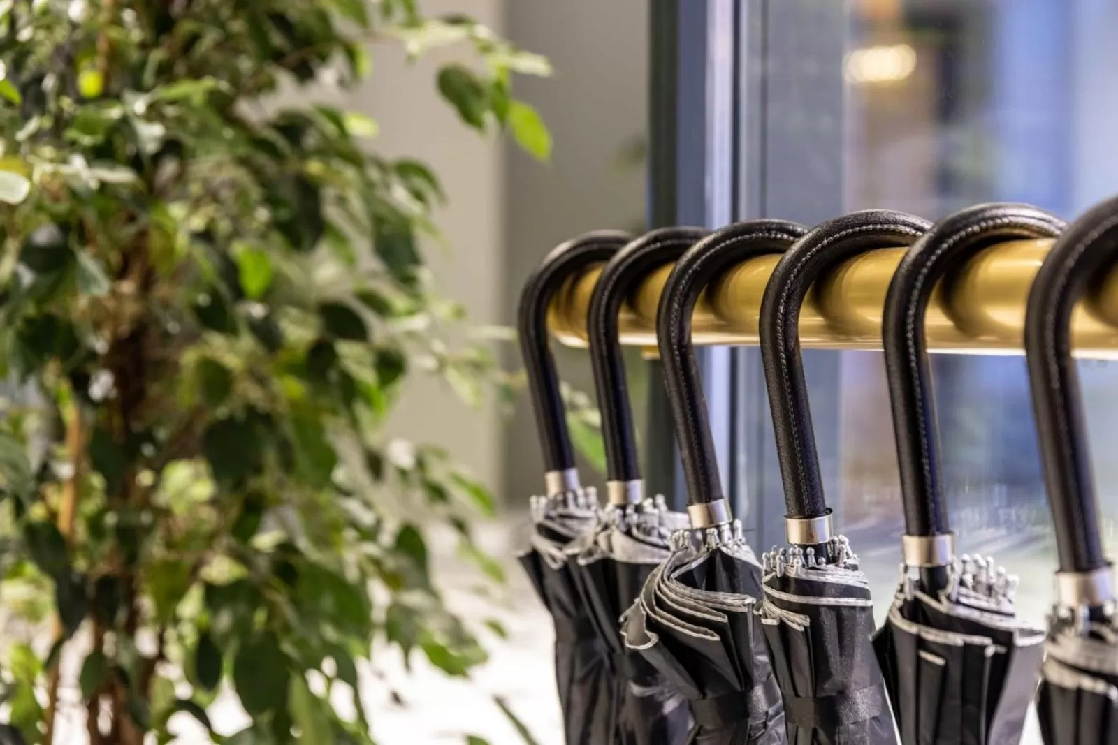 Property building in Marius Hotel