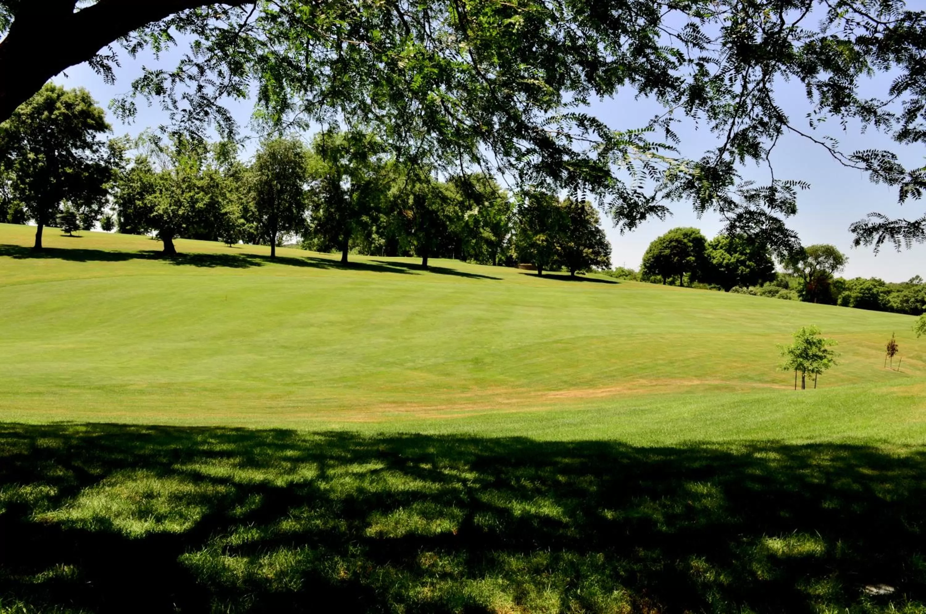 Natural landscape in Cobblestone Inn & Suites - Denison | Majestic Hills