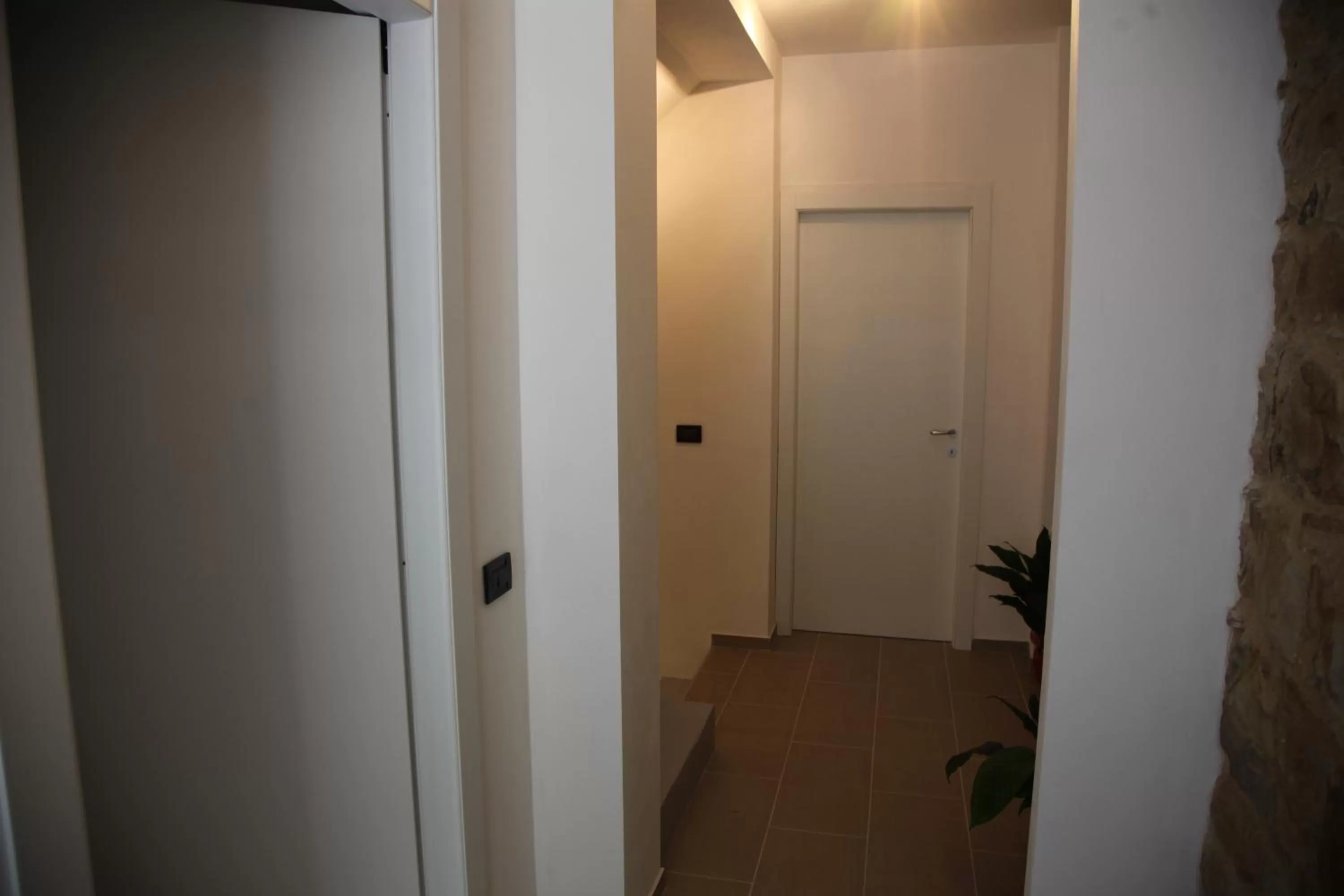 Other in Il Miglio in Più