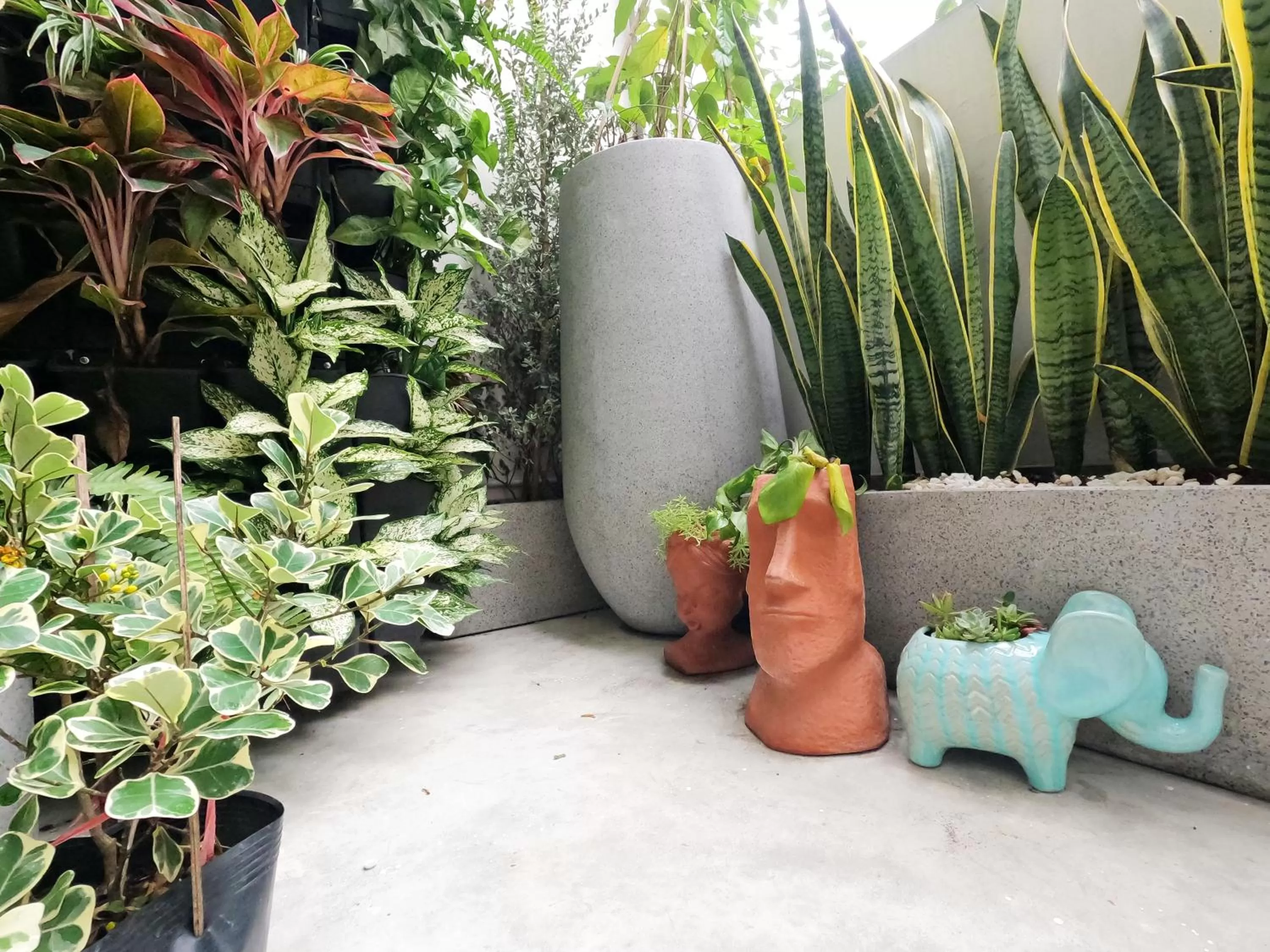 Garden in Dinh Phat Hotel