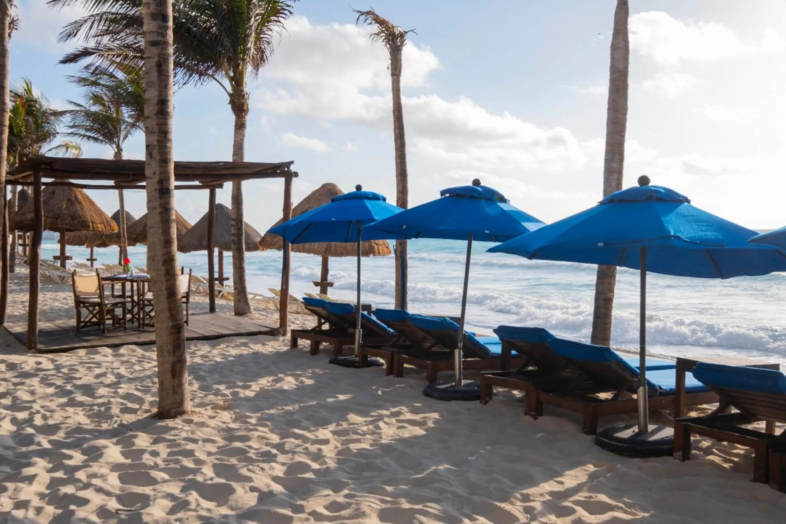 Natural landscape in Hotel NYX Cancun