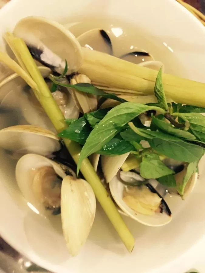 Hoi an Osaka Riverside Villa & Spa