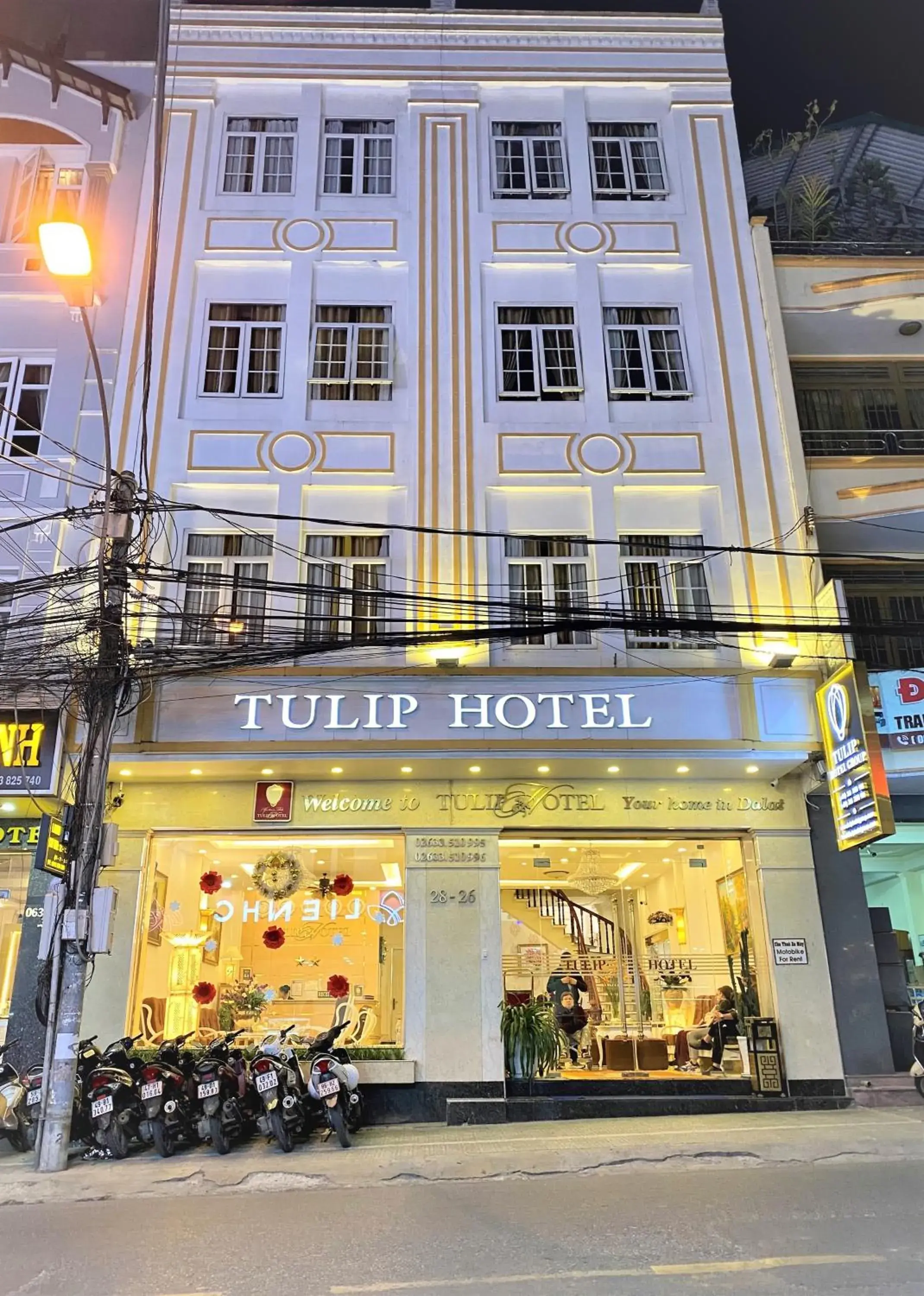 Tulip Hotel Tulip Hotel