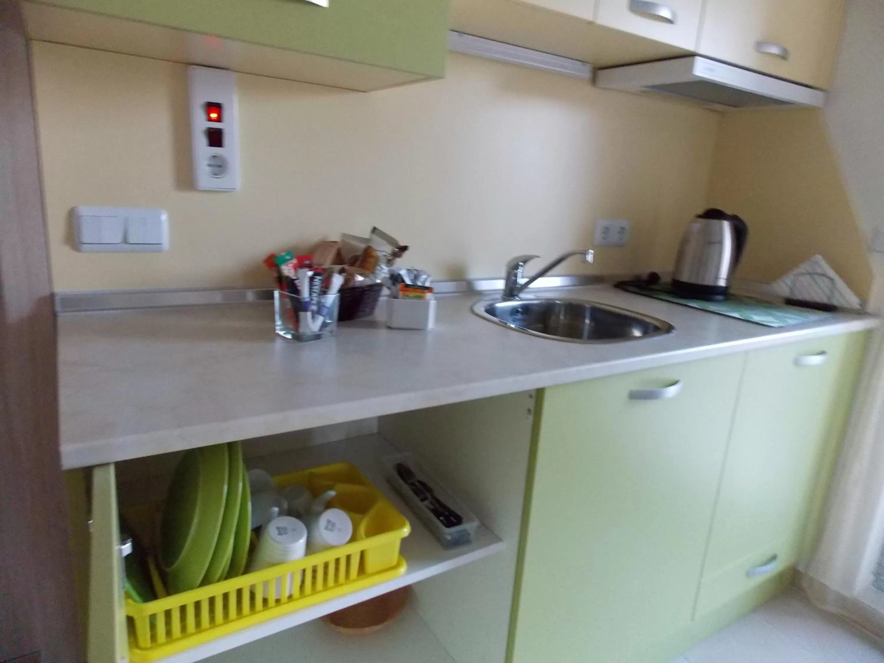 Kitchen or kitchenette, Kitchen/Kitchenette in Apart Hotel Rosen