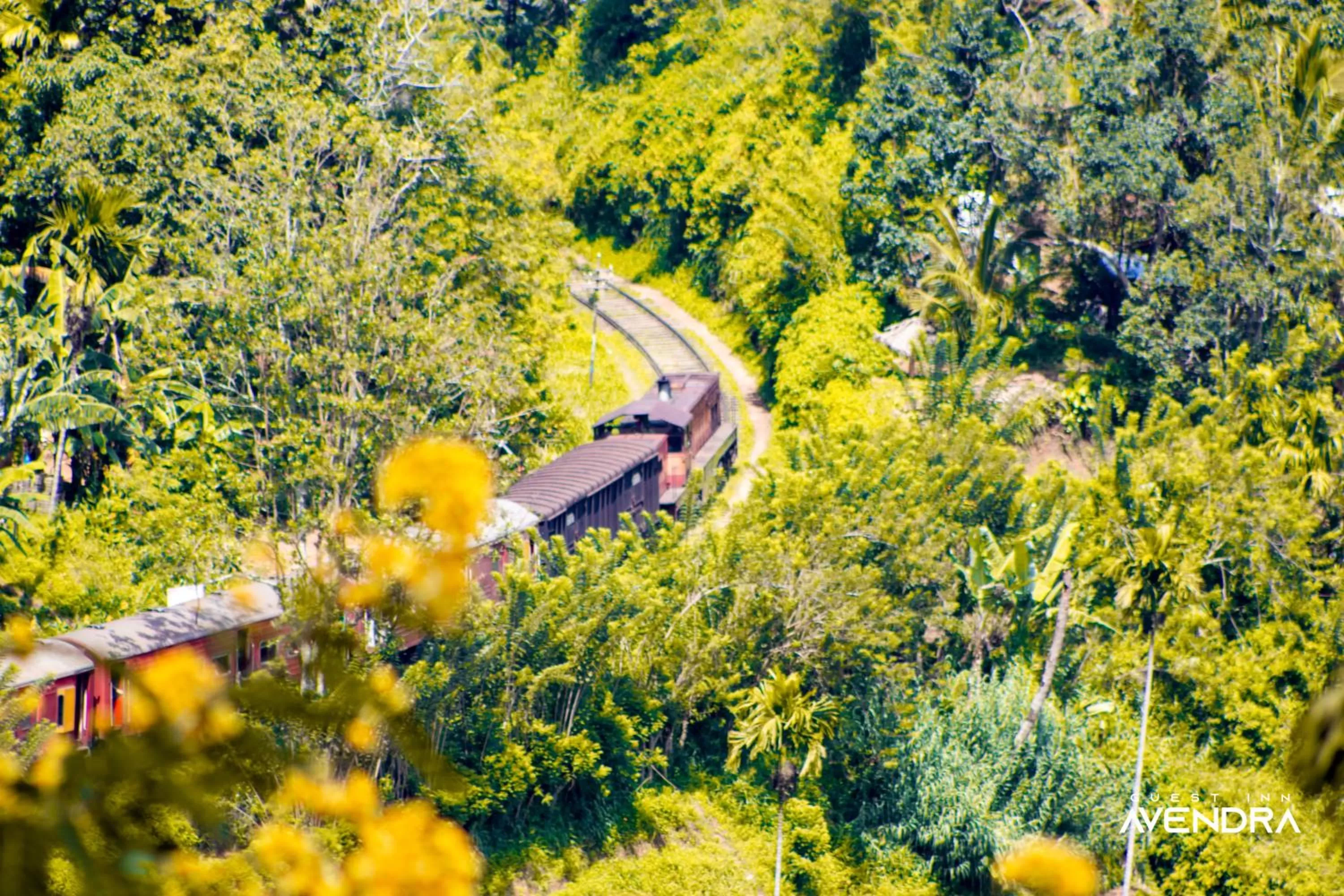 Day, Bird's-eye View in Guest Inn Avendra