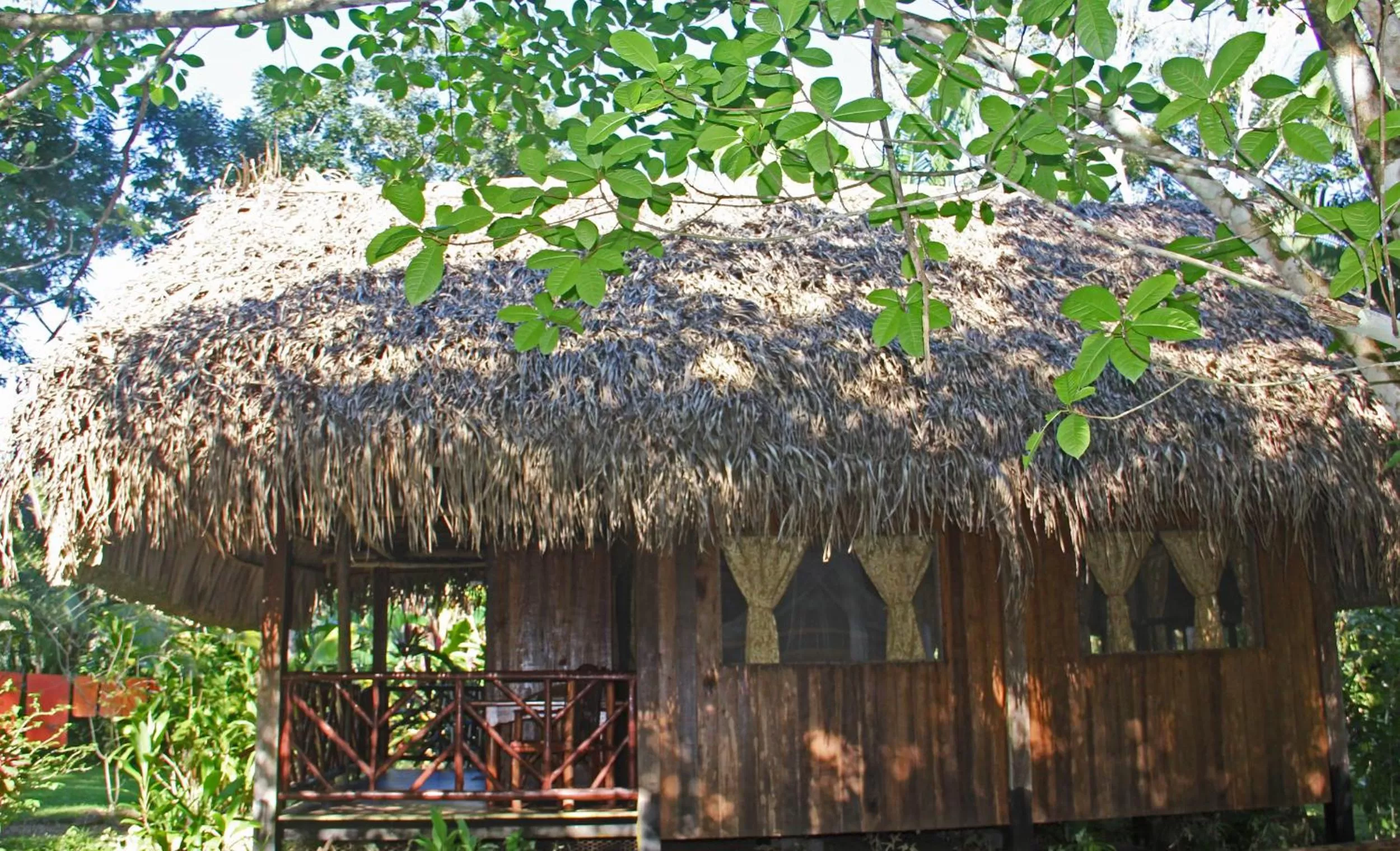 Garden view in Sun Creek Lodge