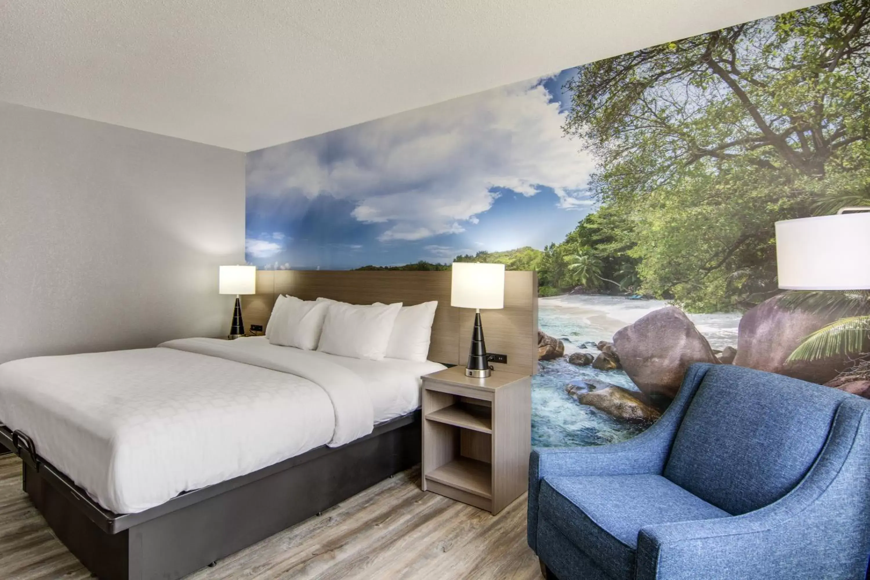 King Room - Accessible/Non Smoking in Clarion Pointe on the Lake Clarksville - South Hill West King Room - Accessible/Non Smoking in Clarion Pointe on the Lake Clarksville - South Hill West