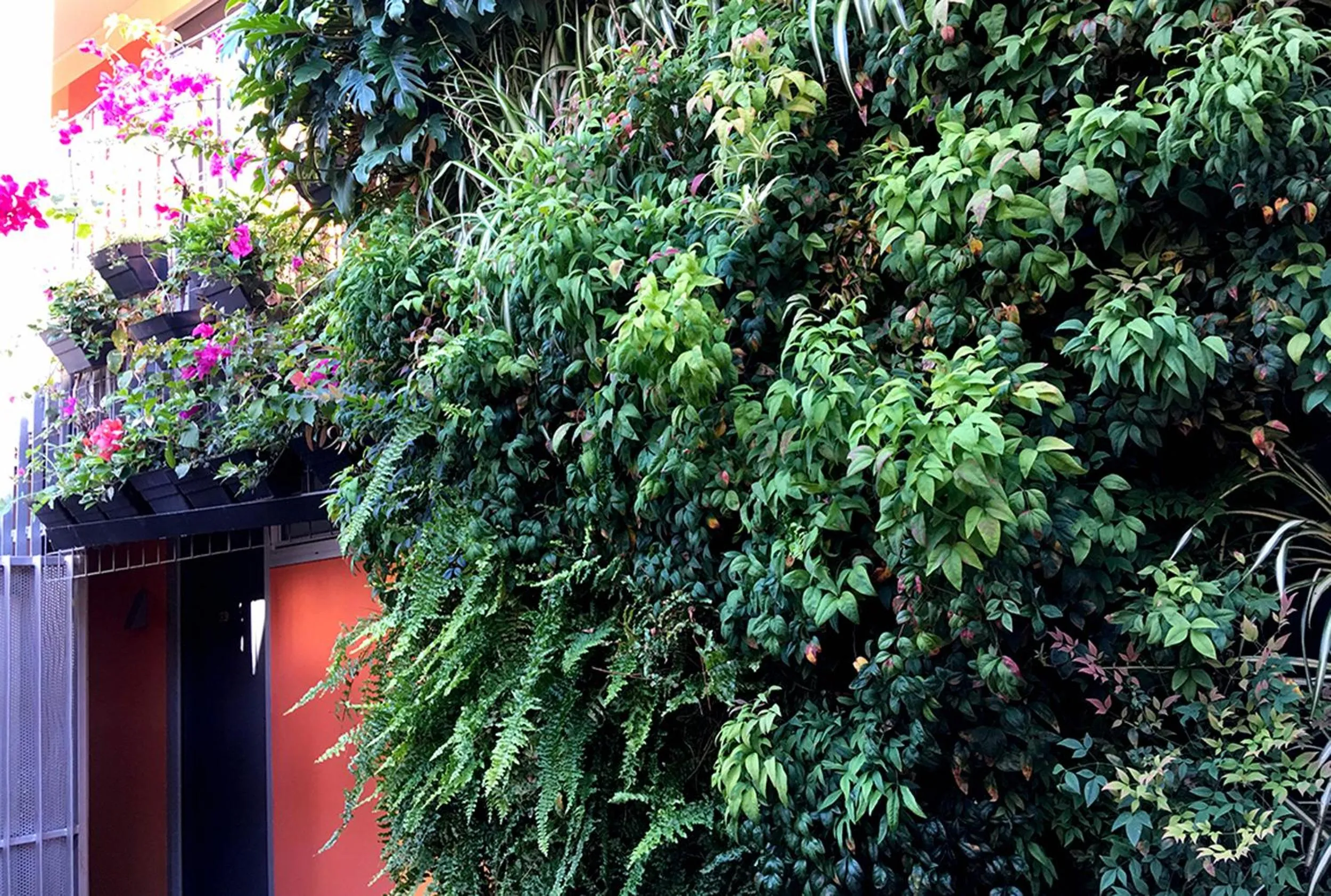 Inner courtyard view in Original Backpackers