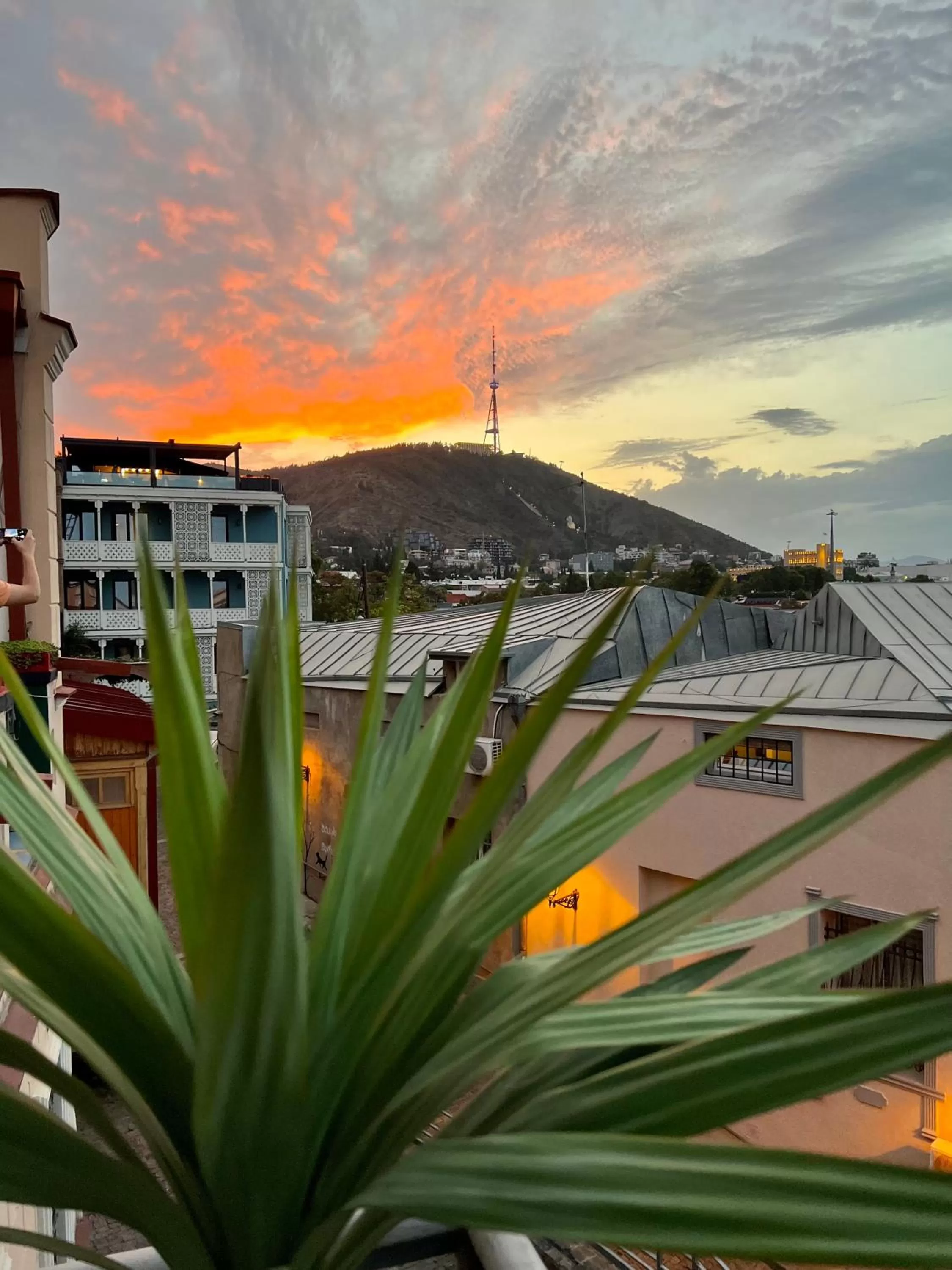 Natural landscape in Check Point Hotel