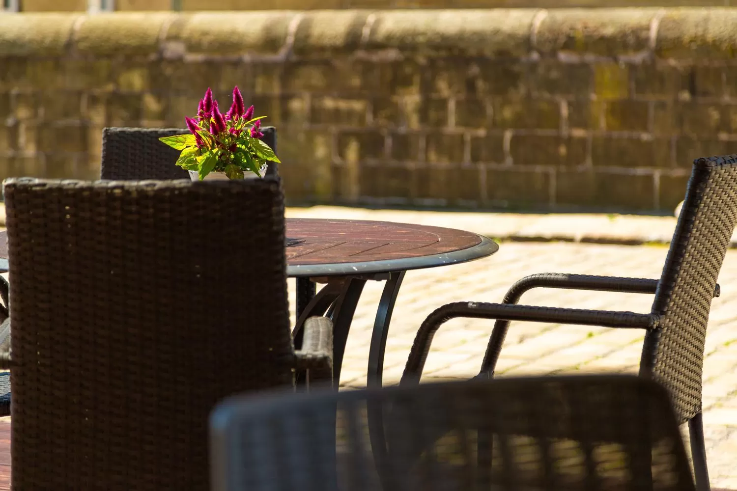 Garden in Garrison Hotel