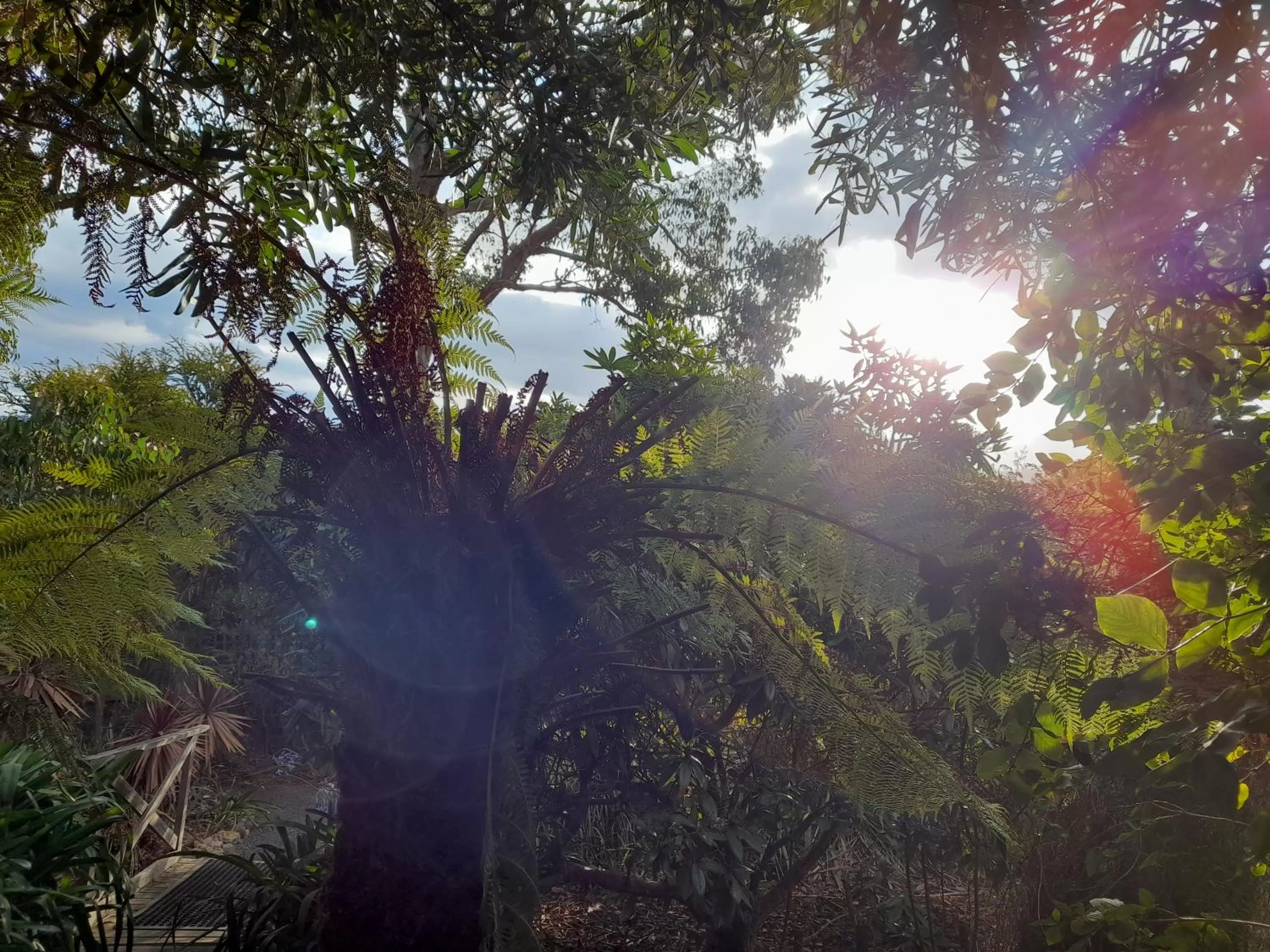 Hillside Bed and Breakfast