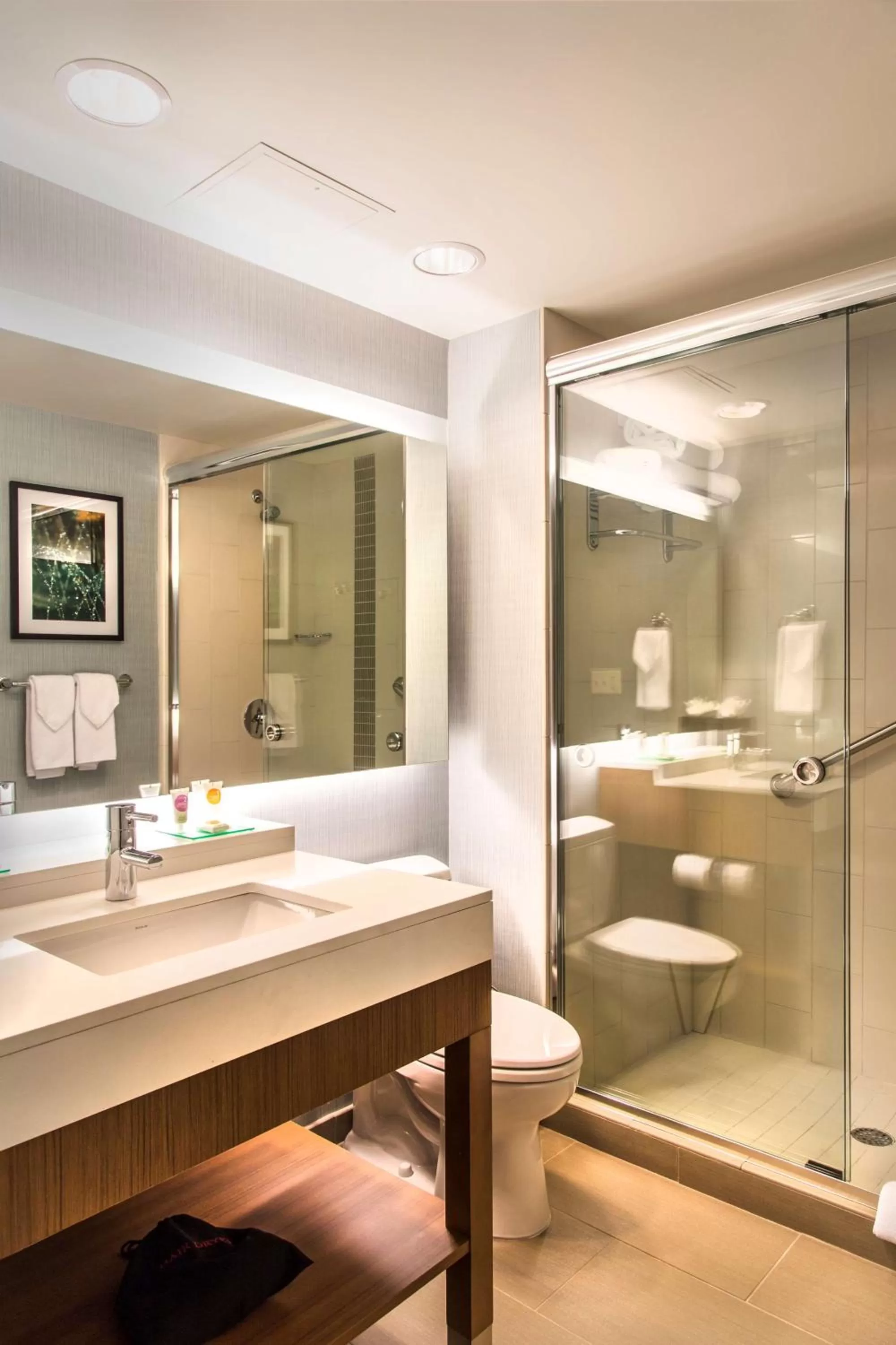 Bathroom in Hyatt Place Charlottesville