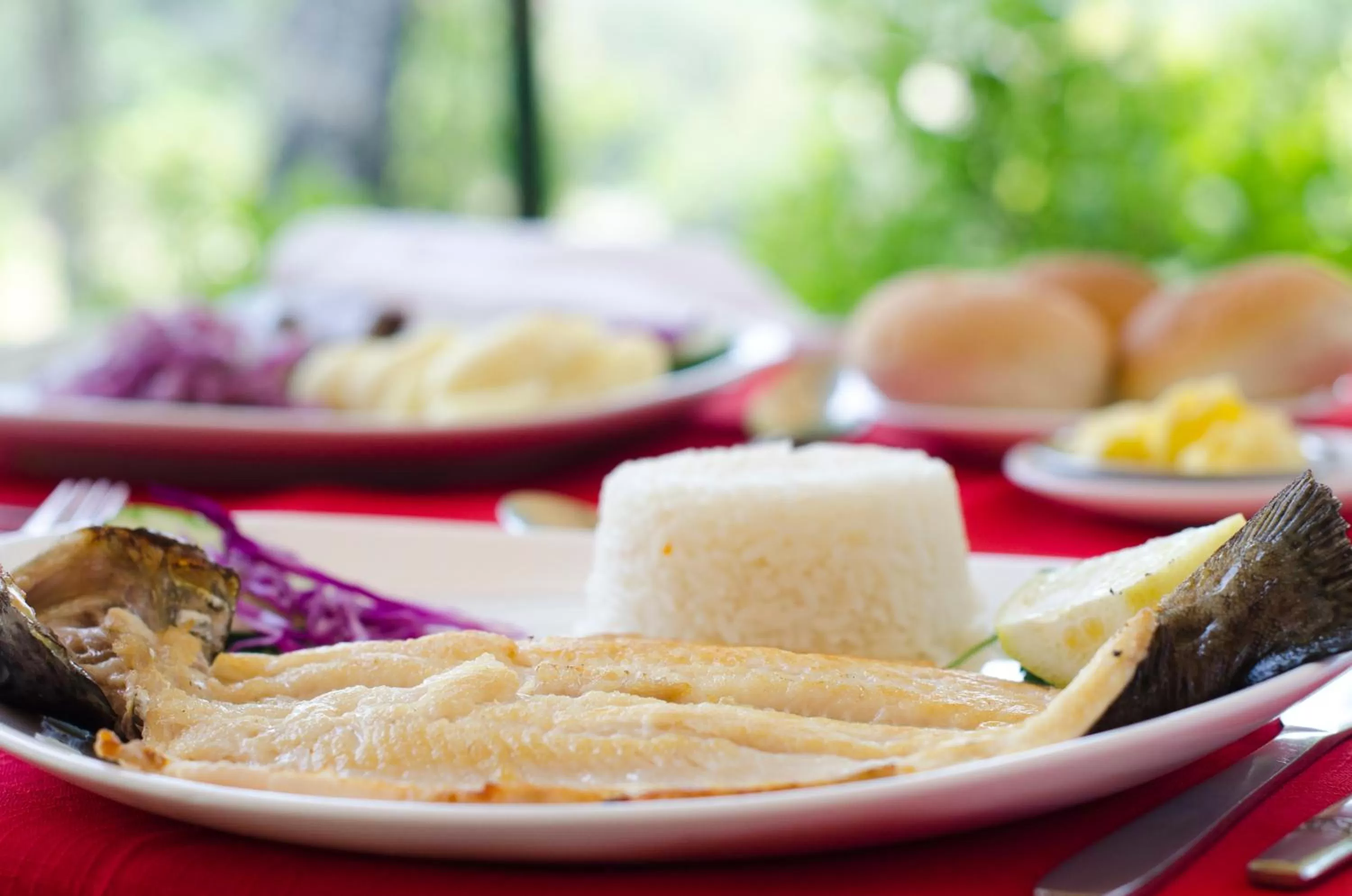 Restaurant/places to eat, Food in Hotel Salto Del Laja