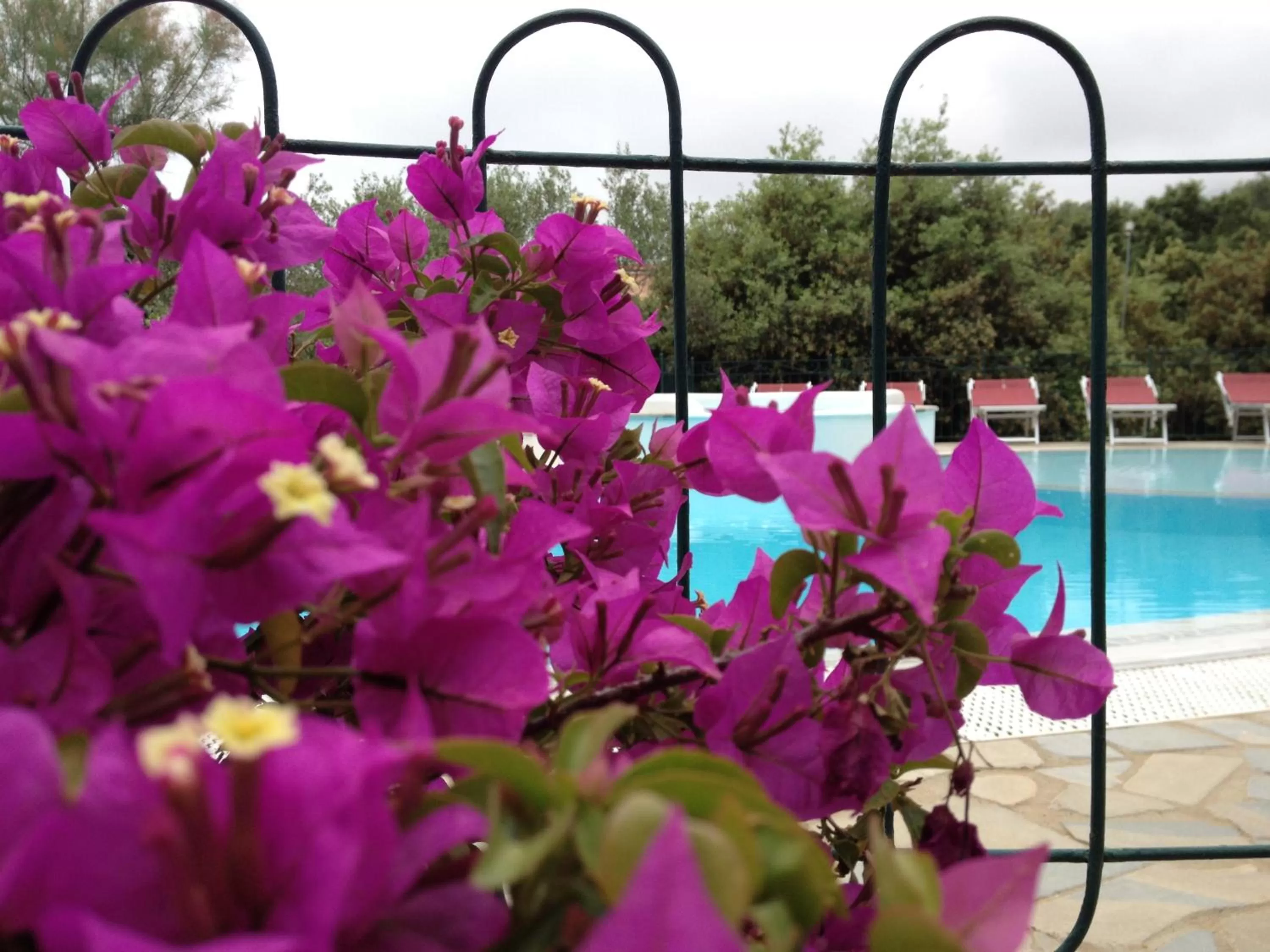 Lounge or bar in Residence Torre Delle Viole