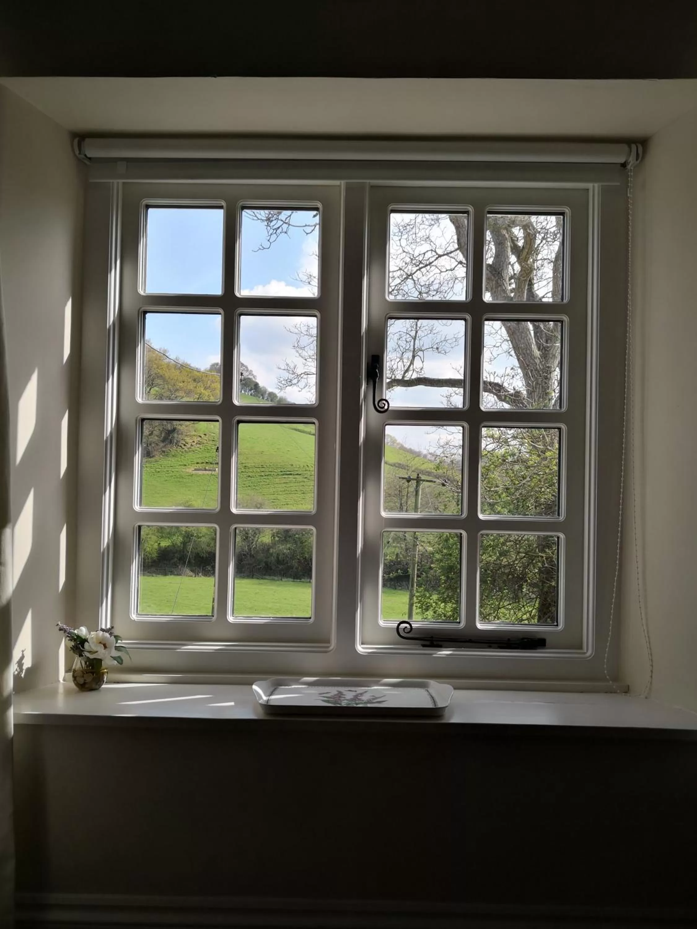 Deluxe Double or Twin Room in Walnut Tree Farm