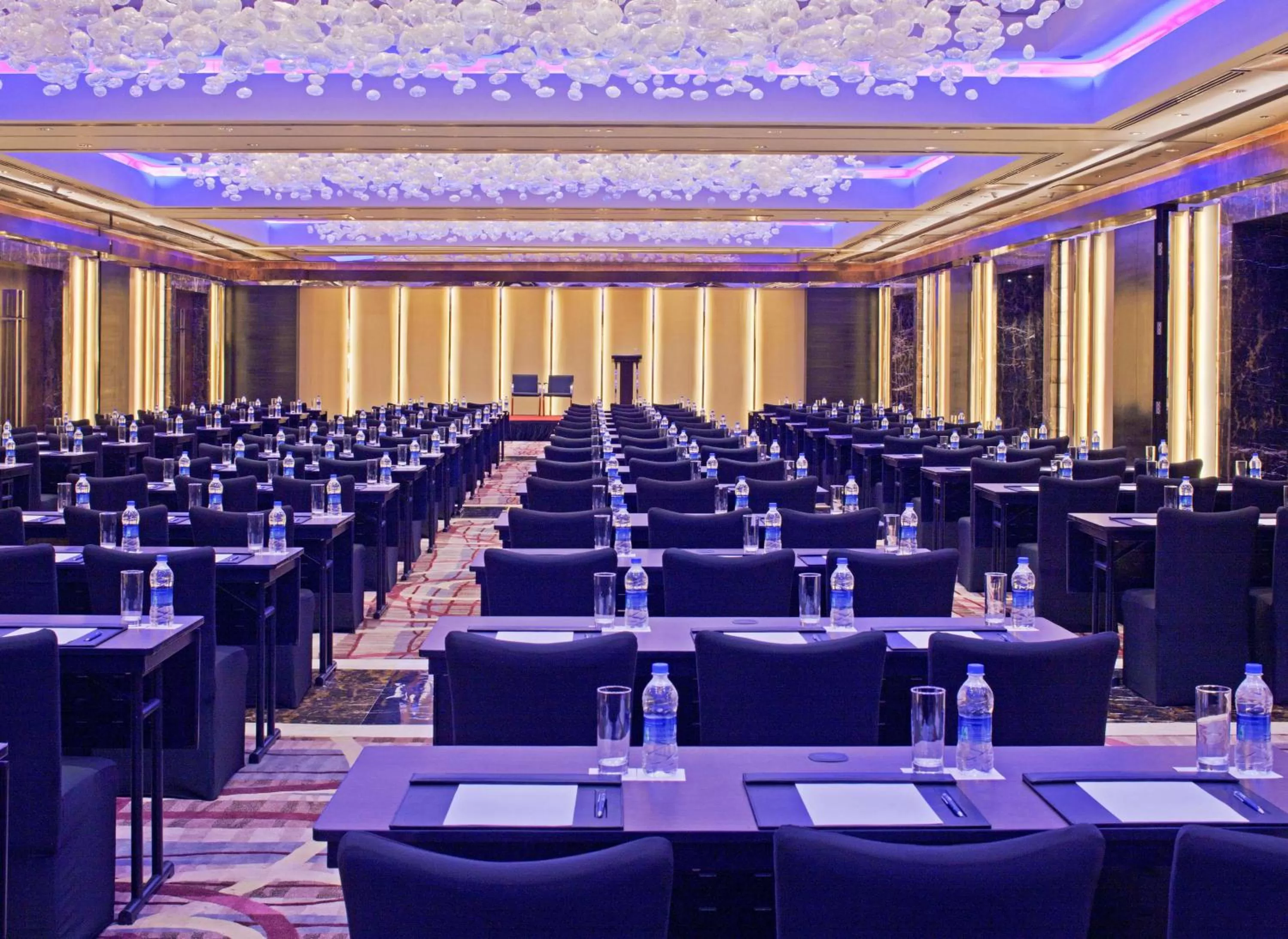 On site in Radisson Blu Plaza Delhi Airport