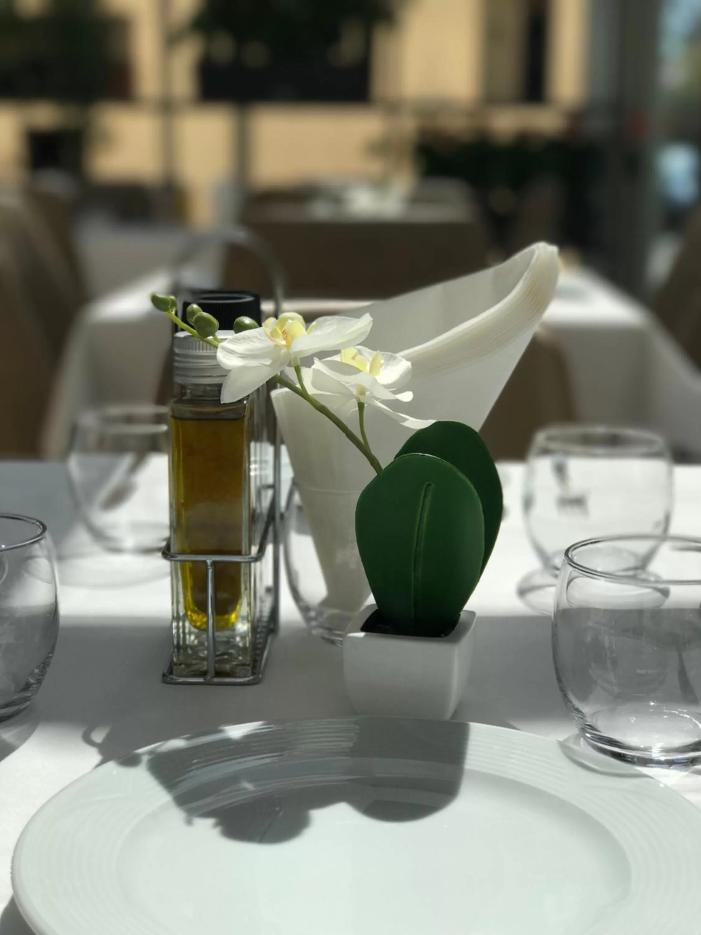 Restaurant/places to eat in Hotel Colosseo Tirana