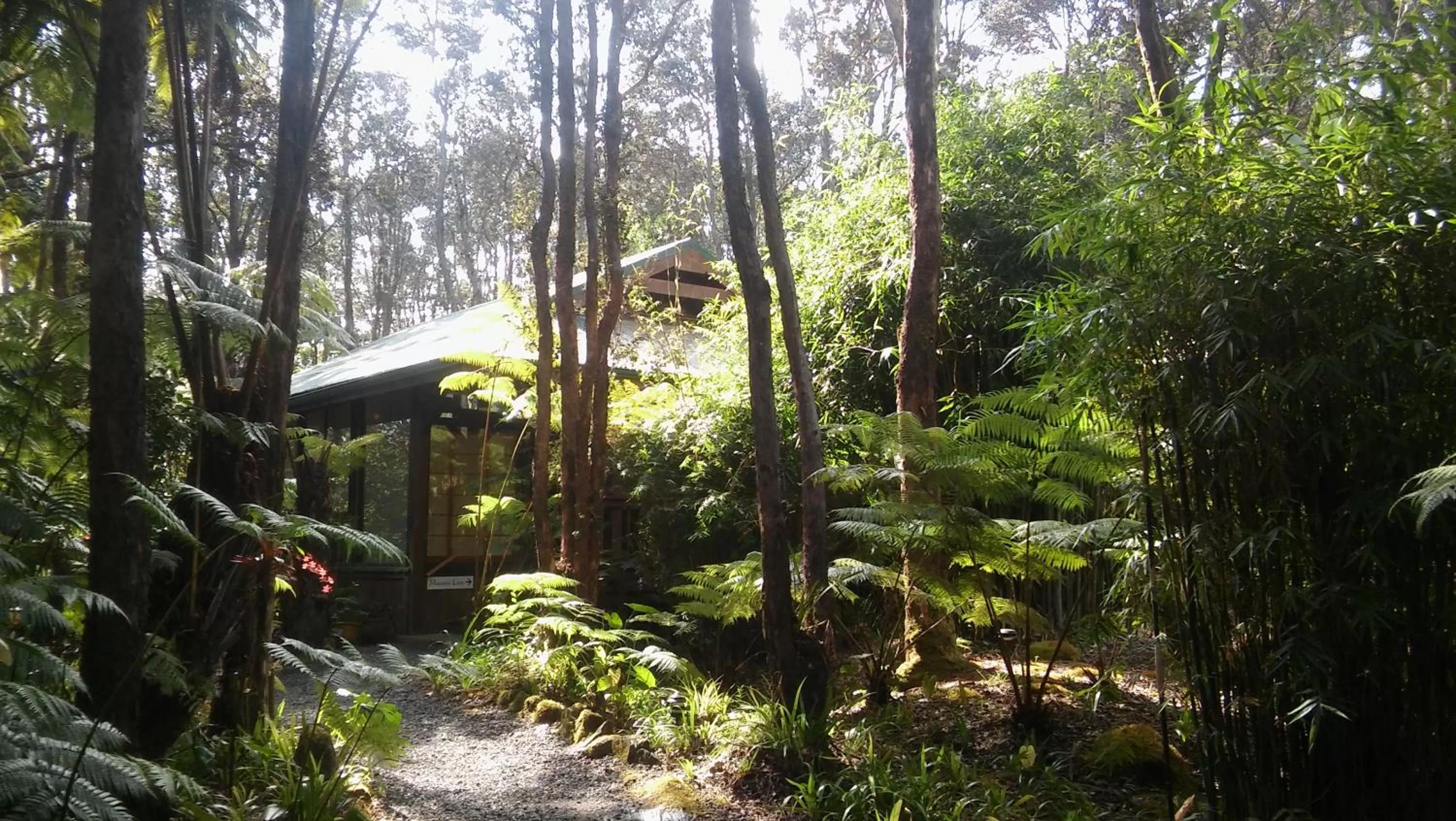 Facade/entrance in Volcano Village Lodge