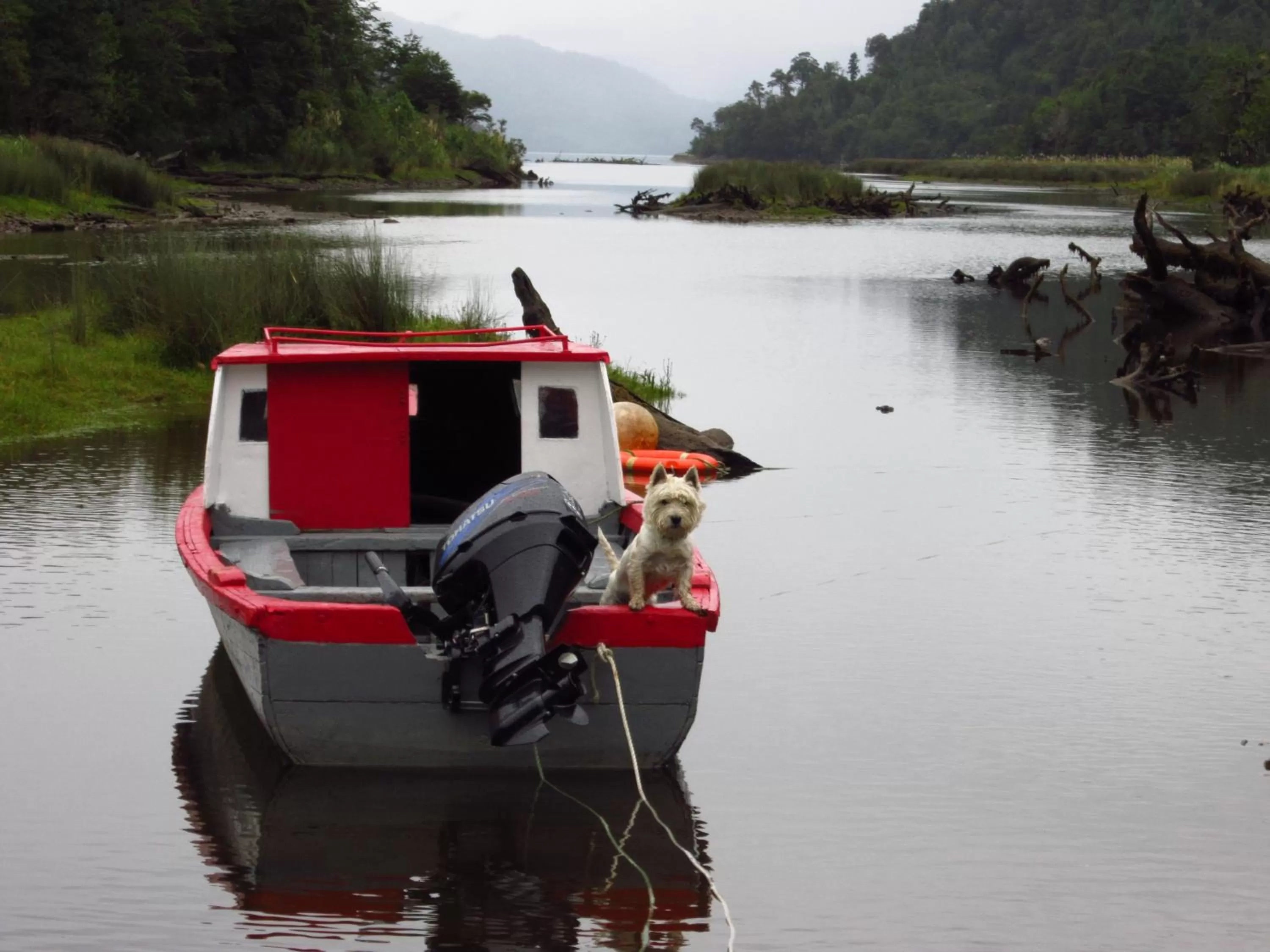 Aqua park in Posada Queulat