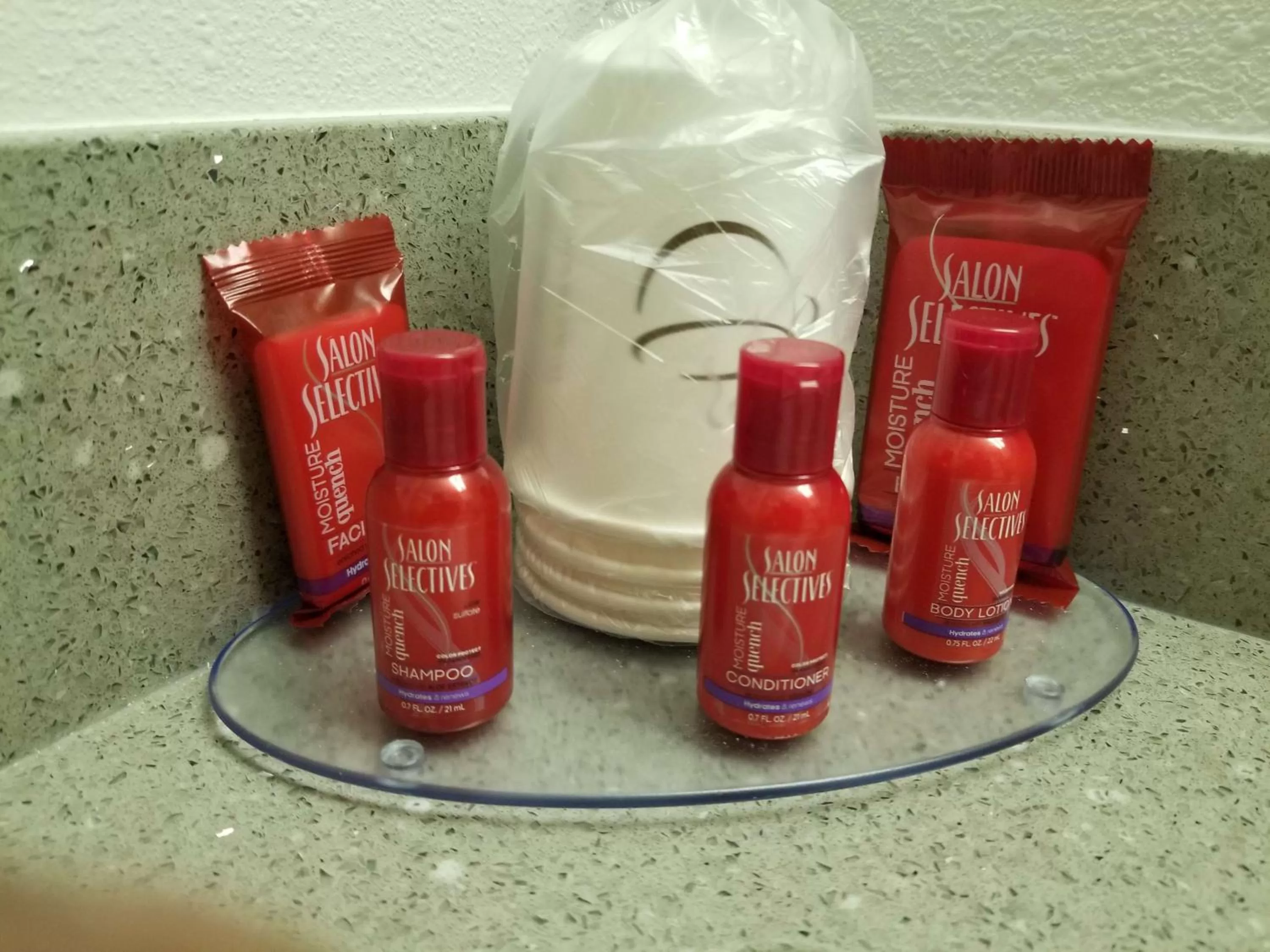 Queen Room with Sofa in SureStay Plus Hotel by Best Western Lethbridge