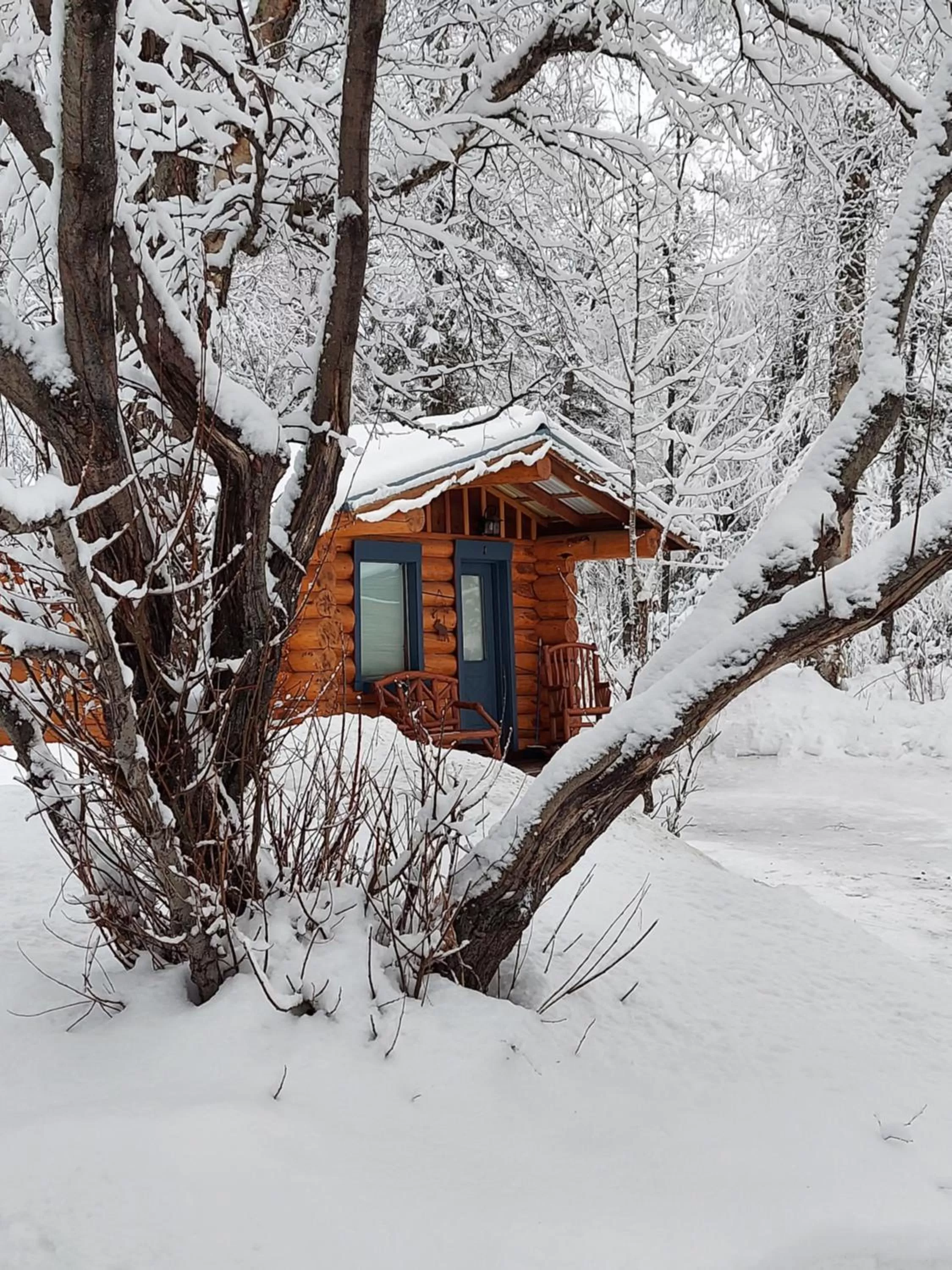Hatcher Pass Cabins