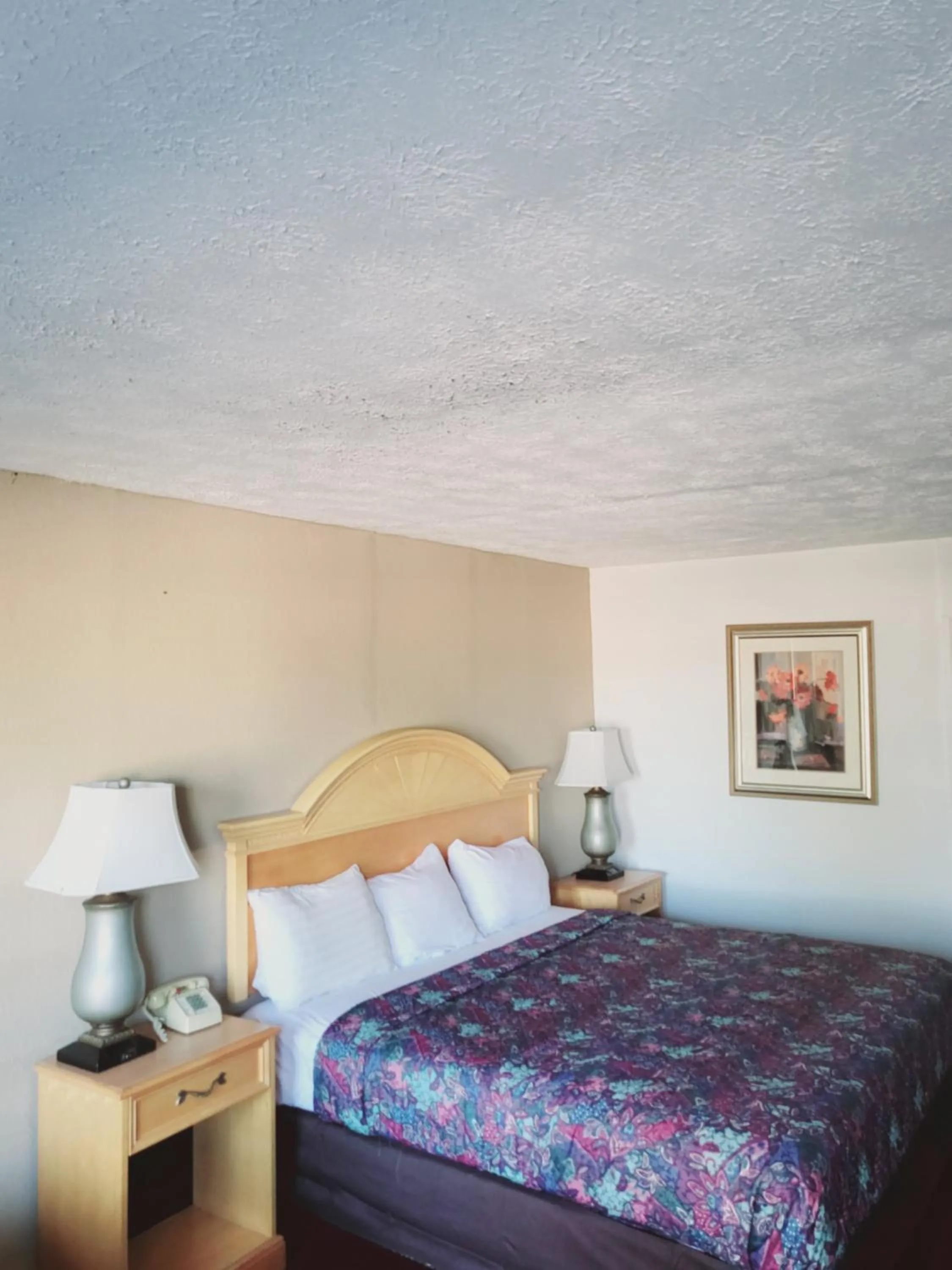 Bed in Rodeway Inn Brazil