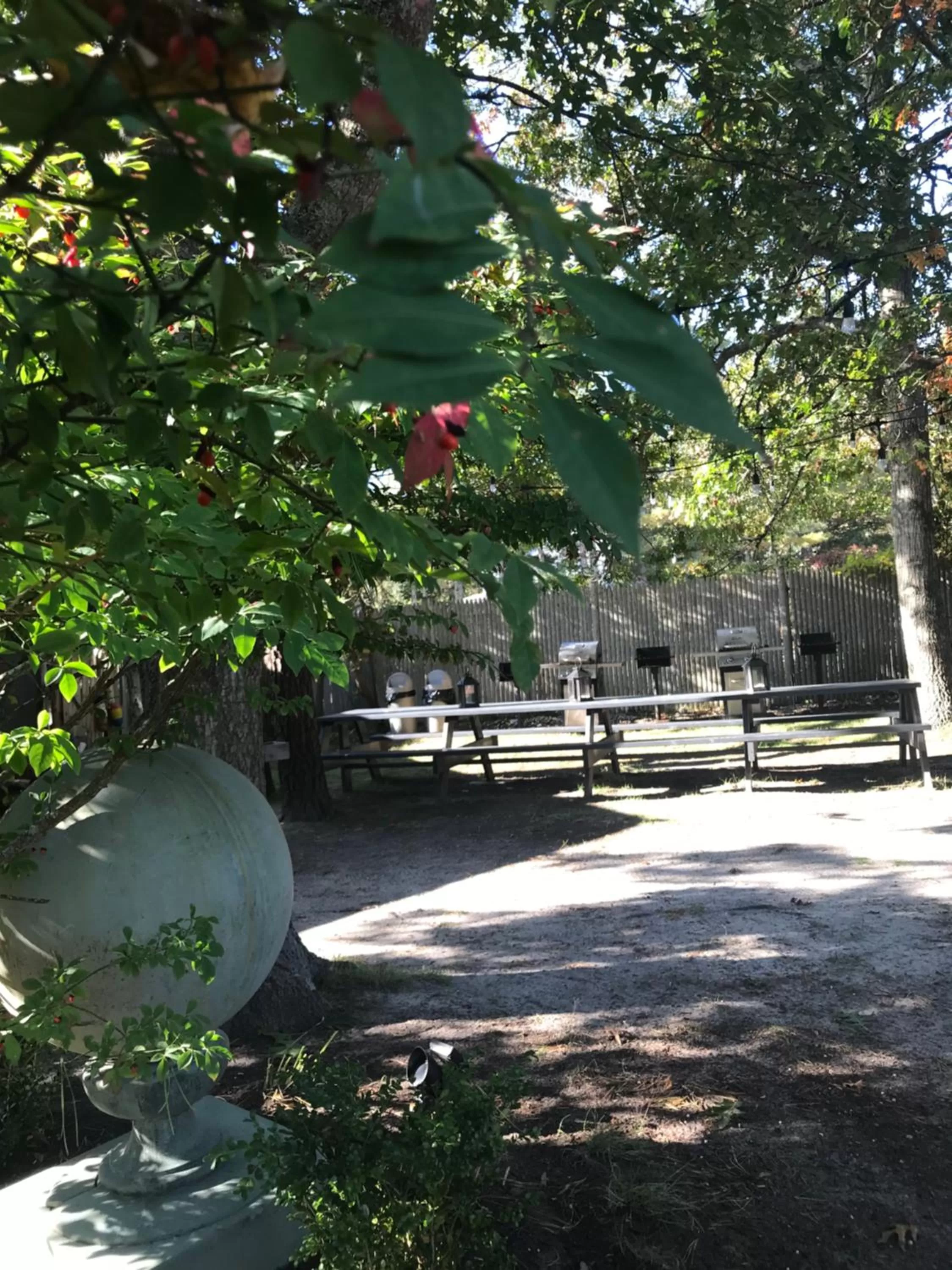 View (from property/room) in Cape Cod Veranda
